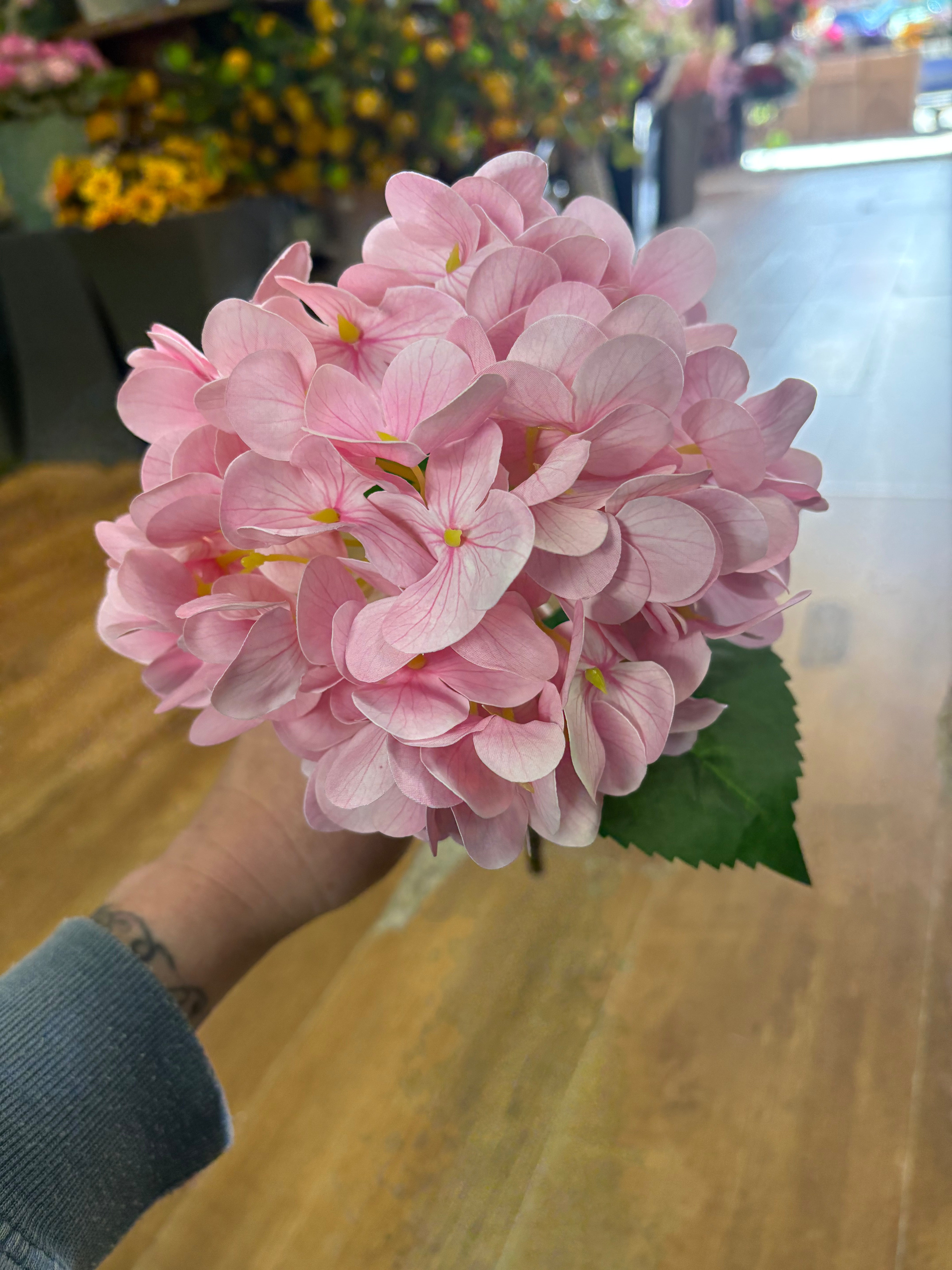 Medium length pale pink single hydrangea