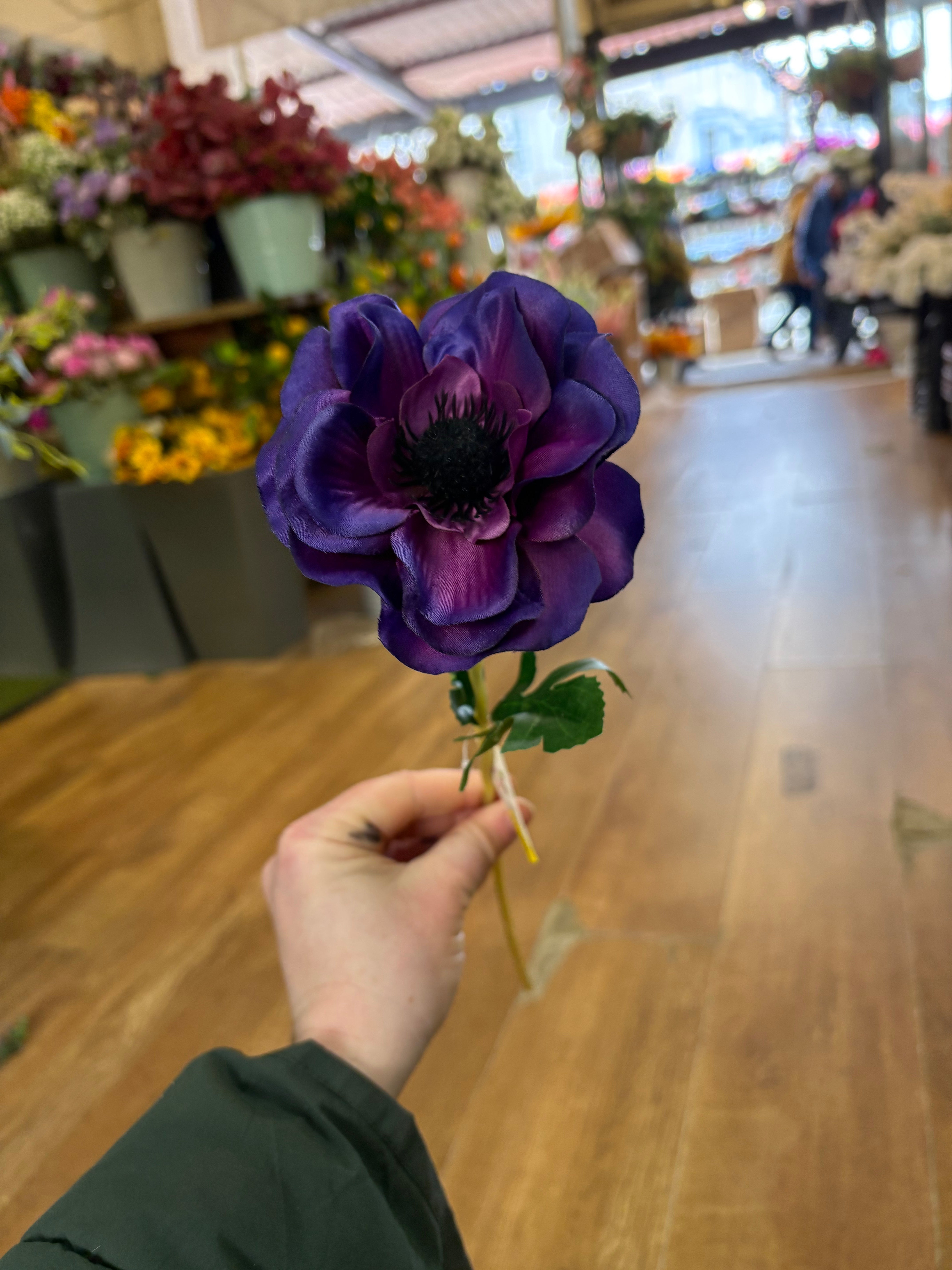 Single anemone stem - 5 colours available