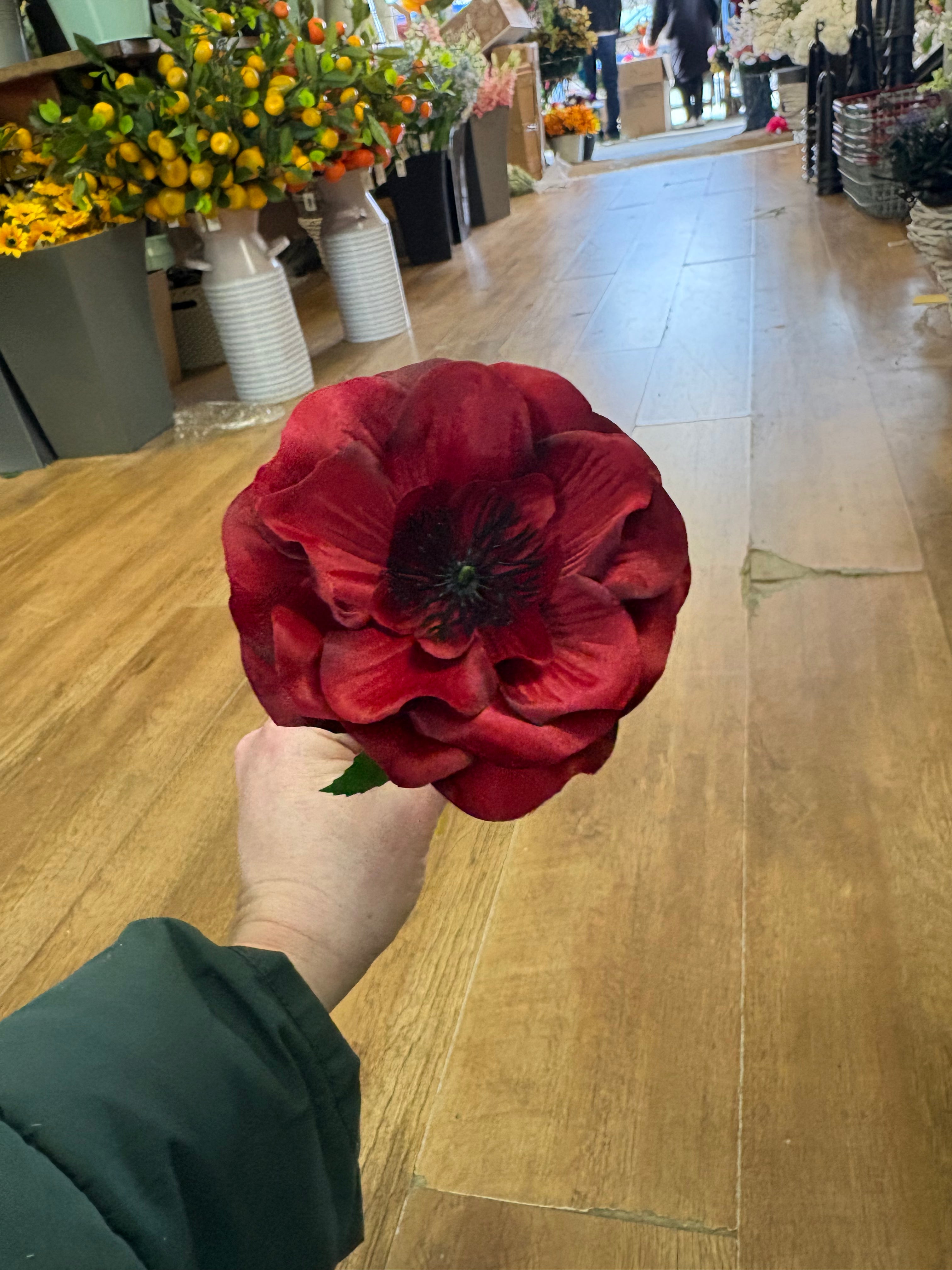Single anemone stem - 5 colours available