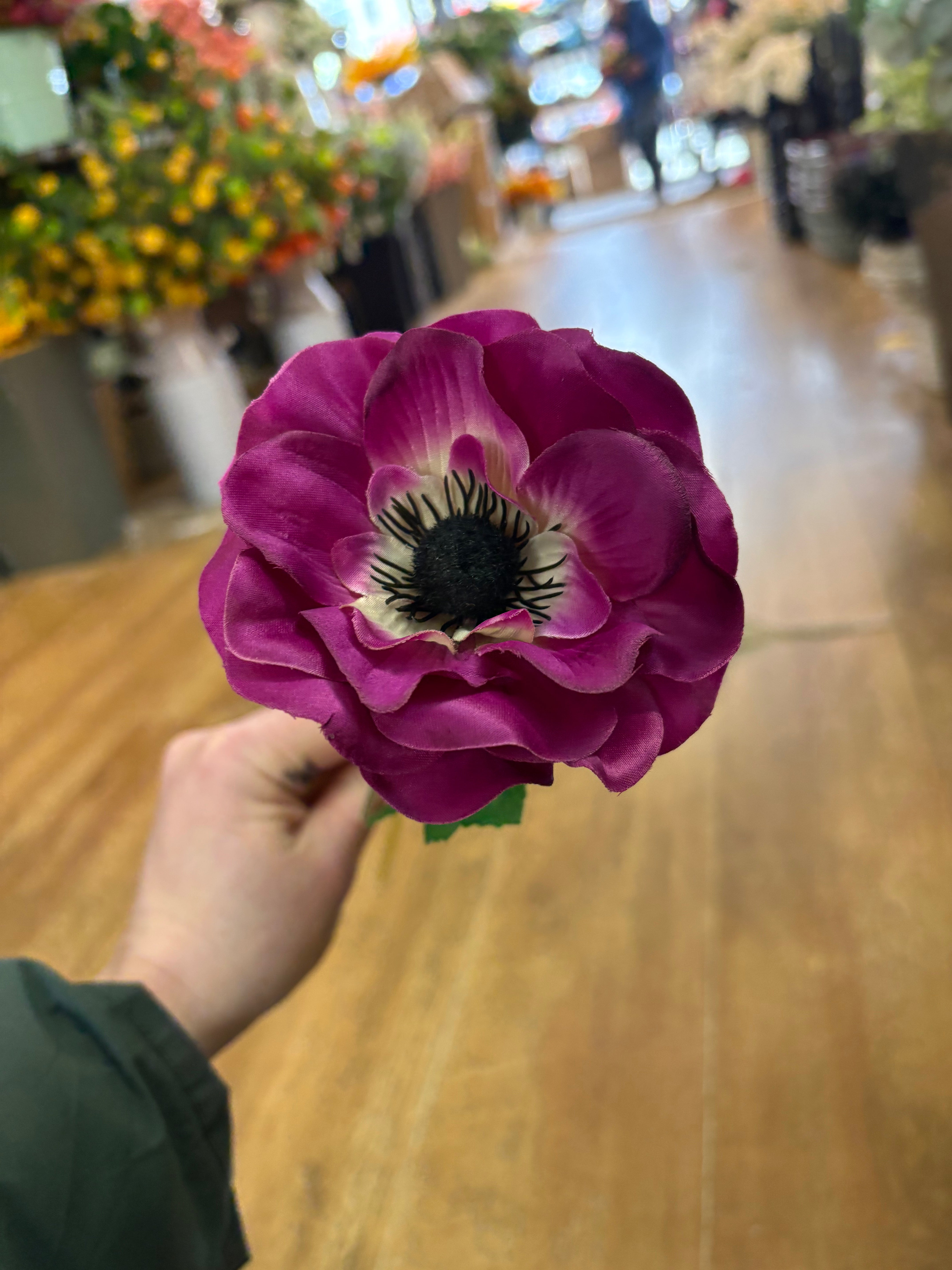 Single anemone stem - 5 colours available