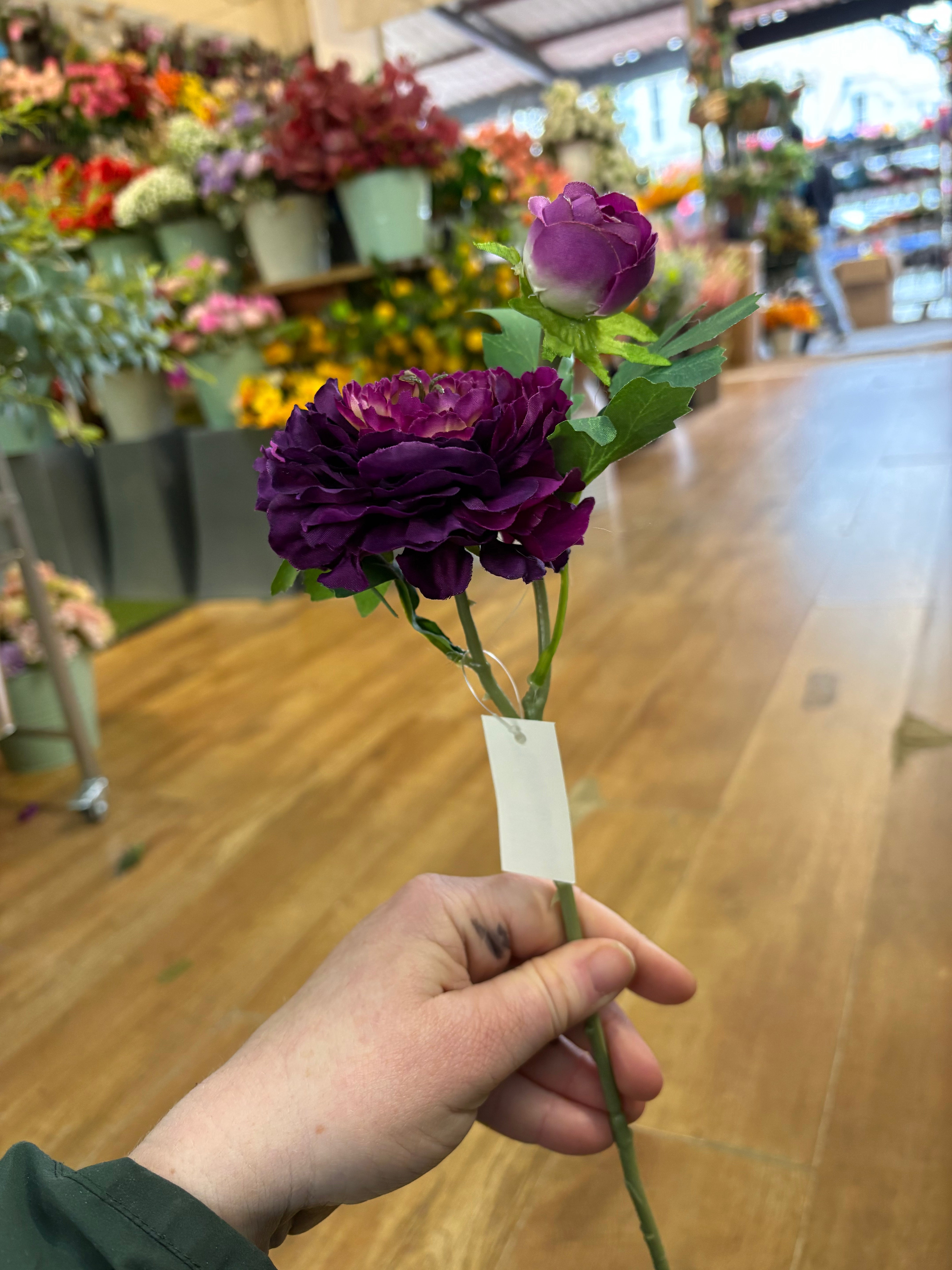 Single ranunculus and bud stem - 4 colours available