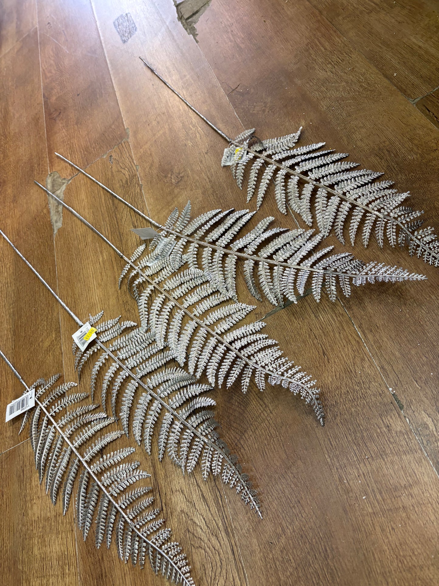 5 long stem champagne tinted metallic fern