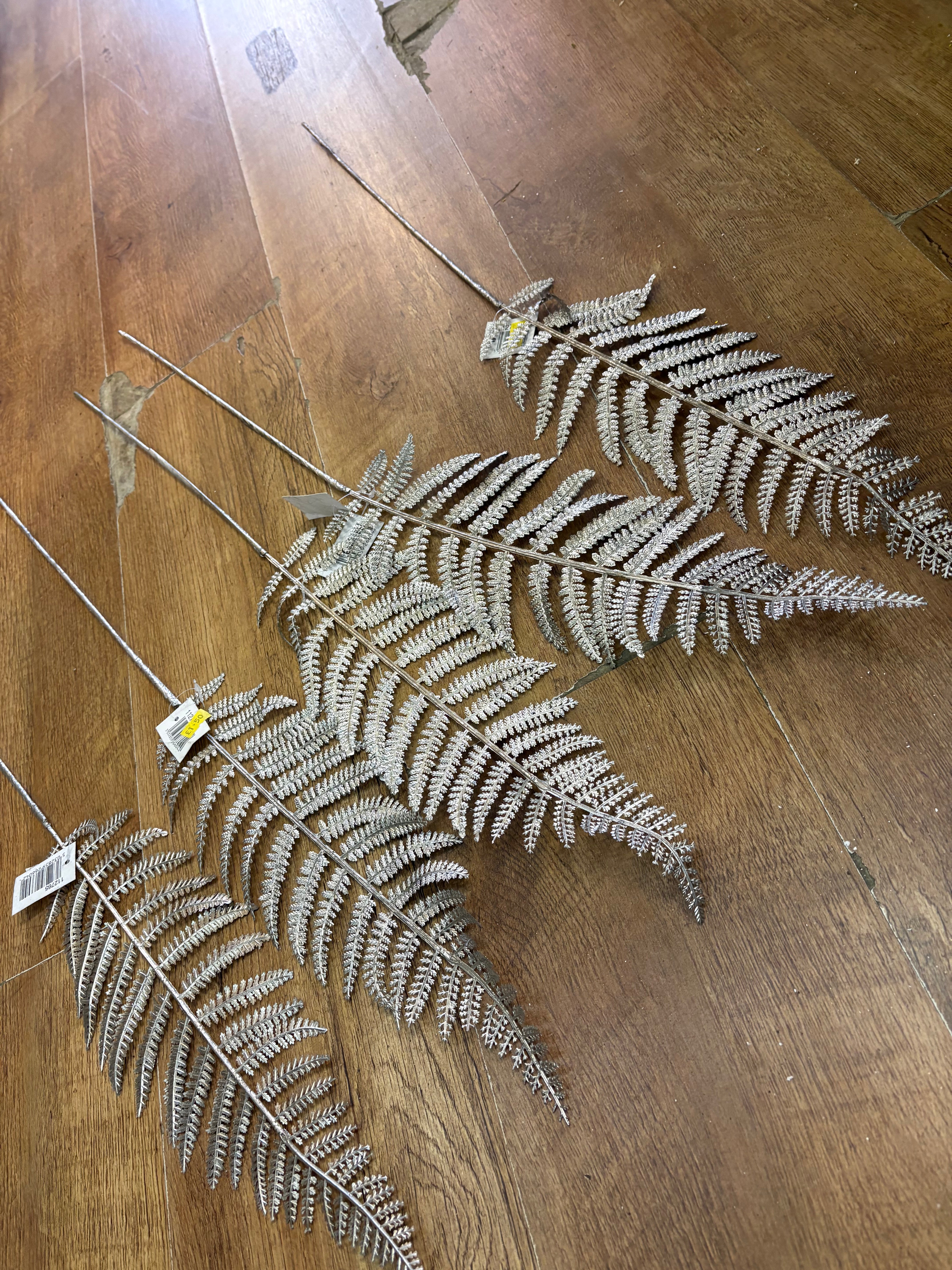5 long stem champagne tinted metallic fern