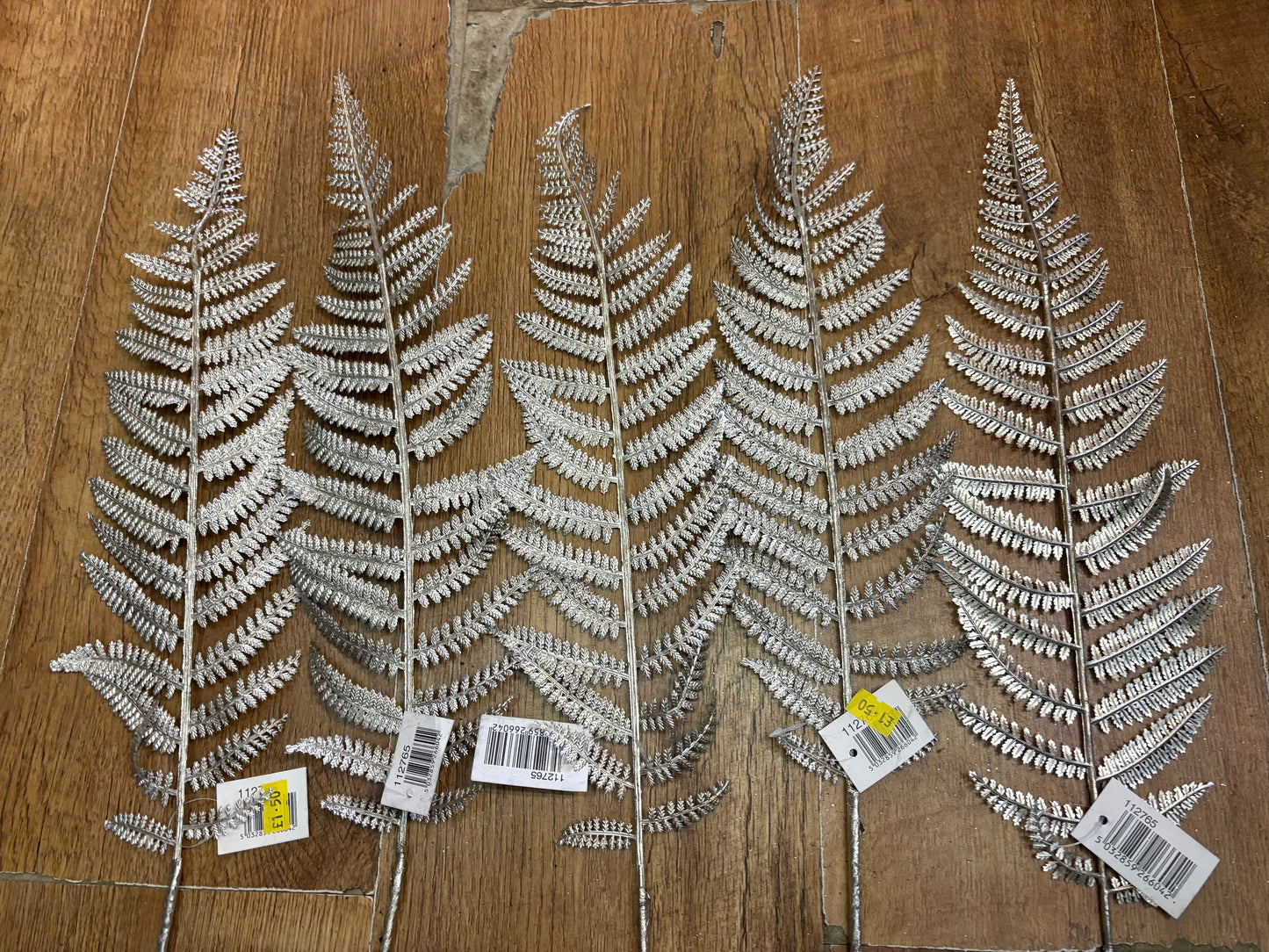 5 long stem champagne tinted metallic fern