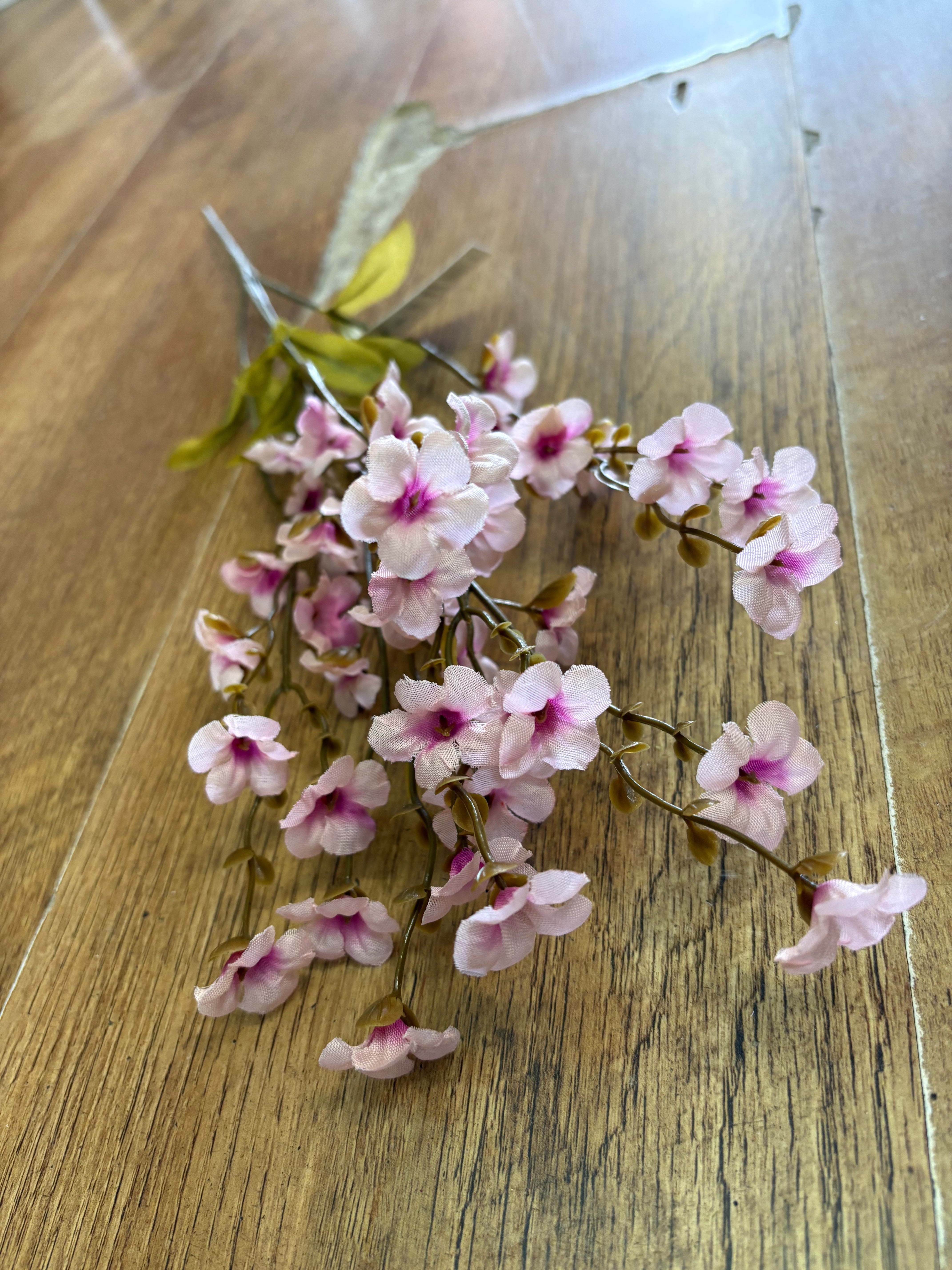 Fairy foxglove bush - 4 colours available