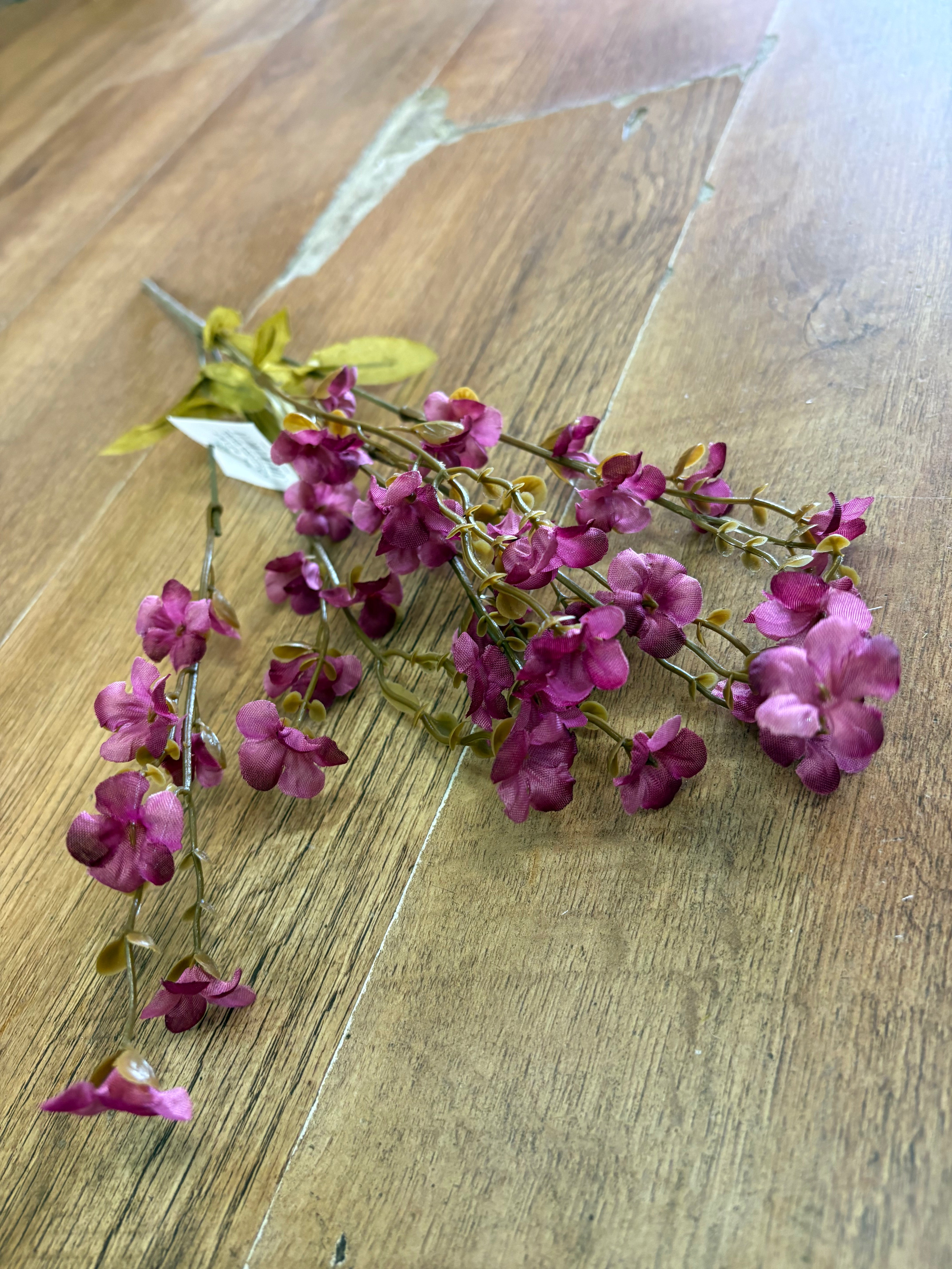 Fairy foxglove bush - 4 colours available