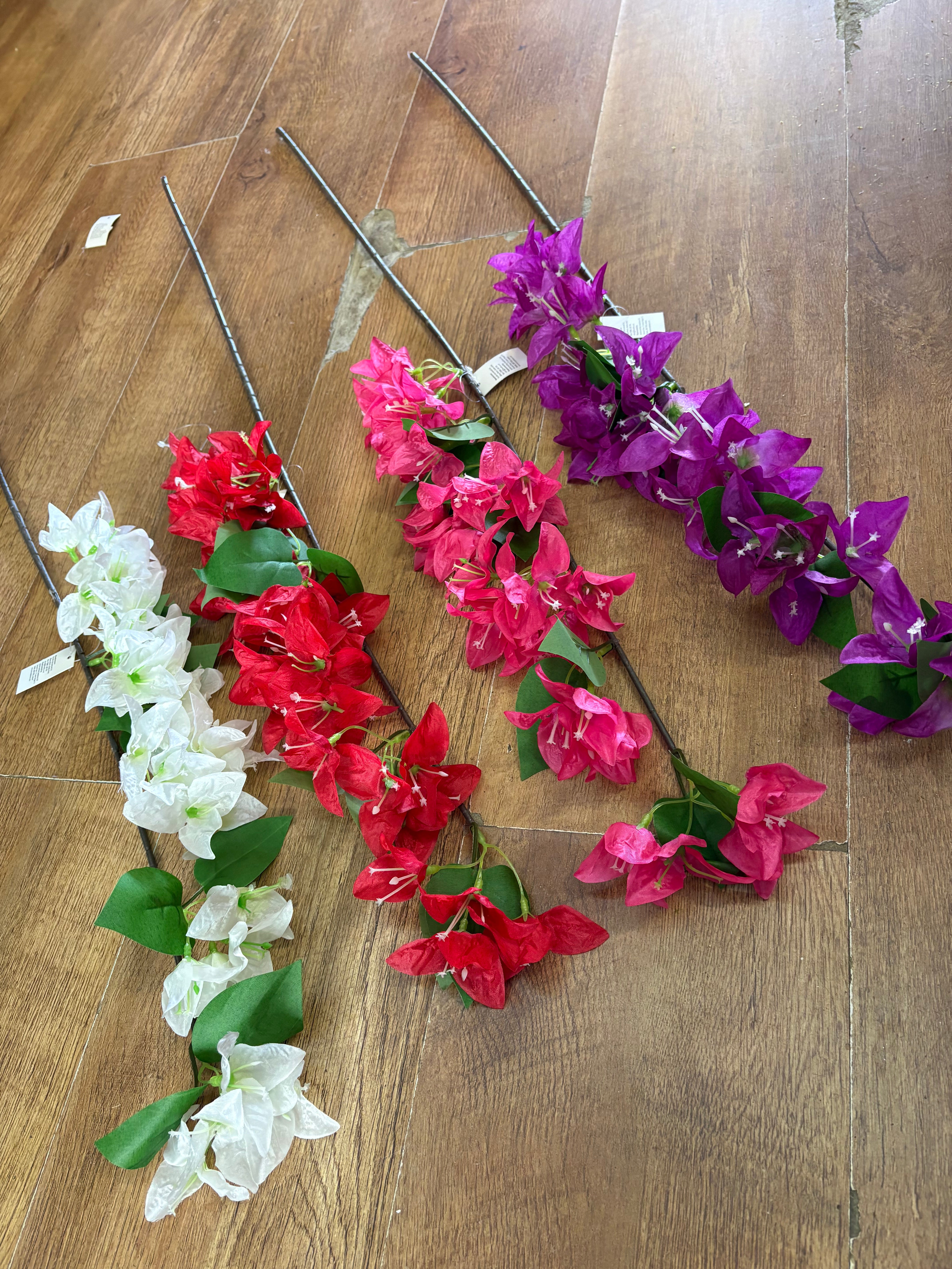 Long stem bougainvillea - 4 colours available