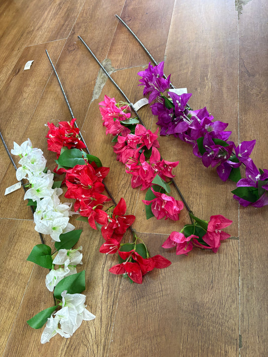 Long stem bougainvillea - 4 colours available