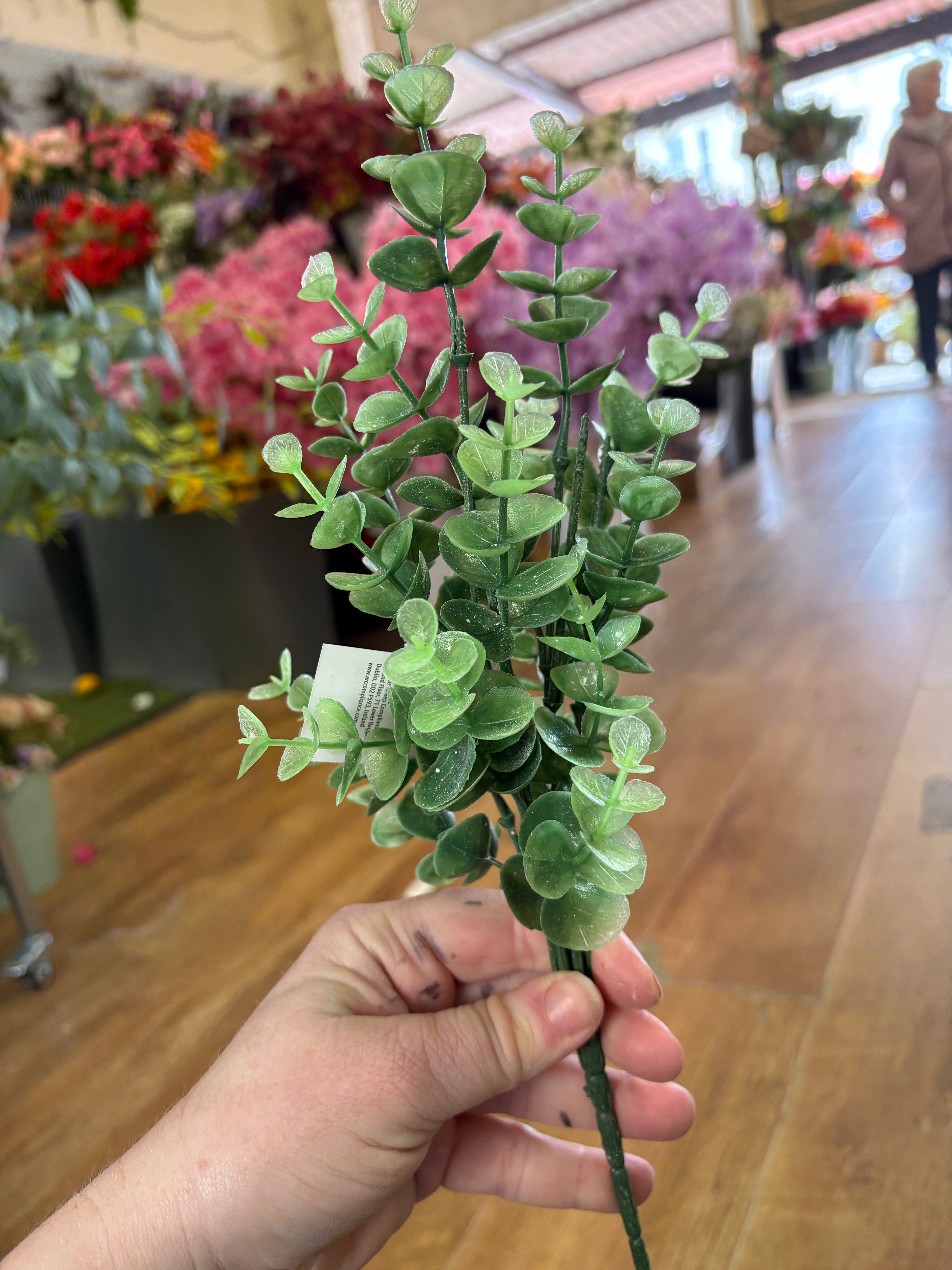 Mixed green eucalyptus bunch