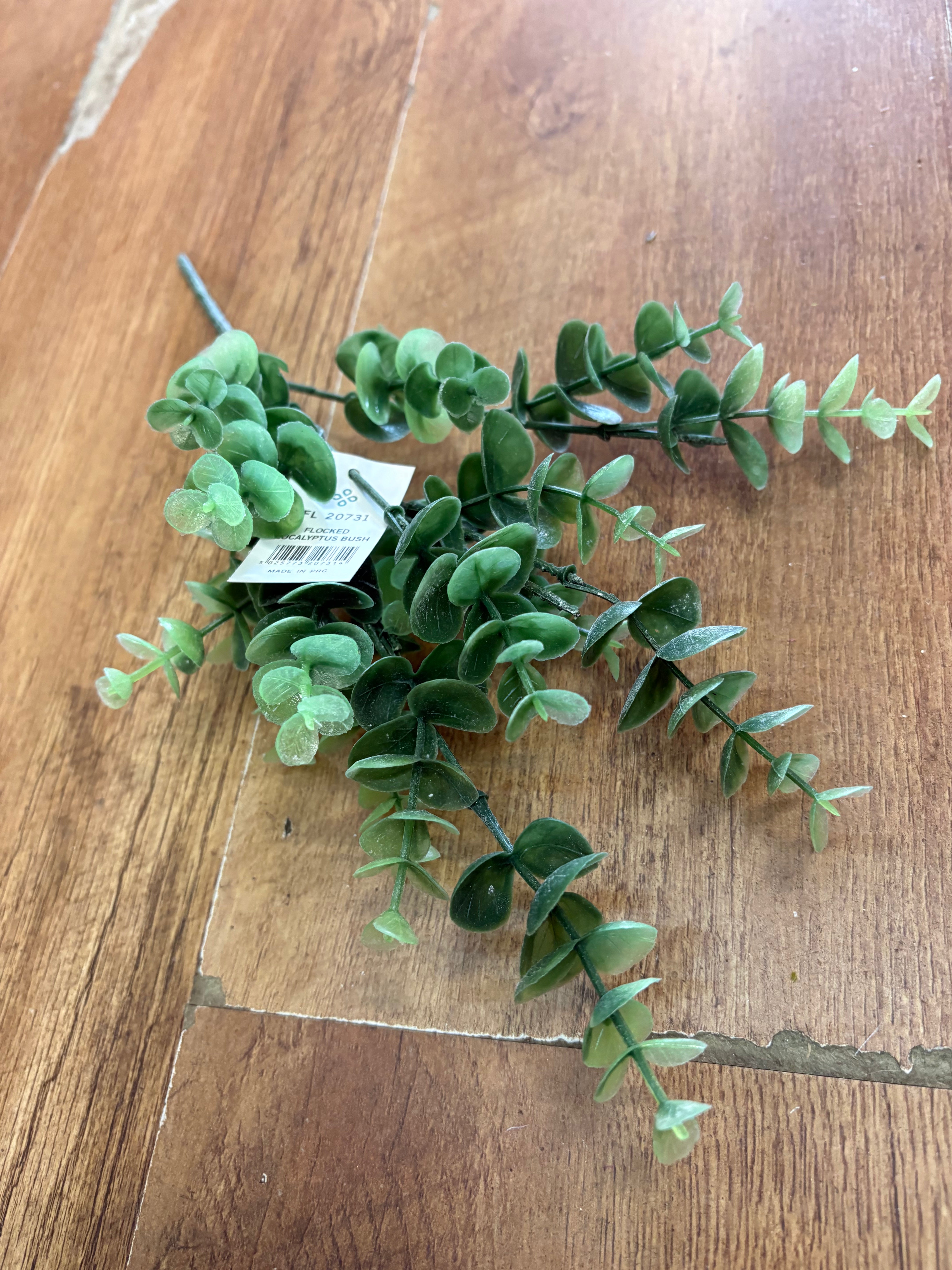 Mixed green eucalyptus bunch