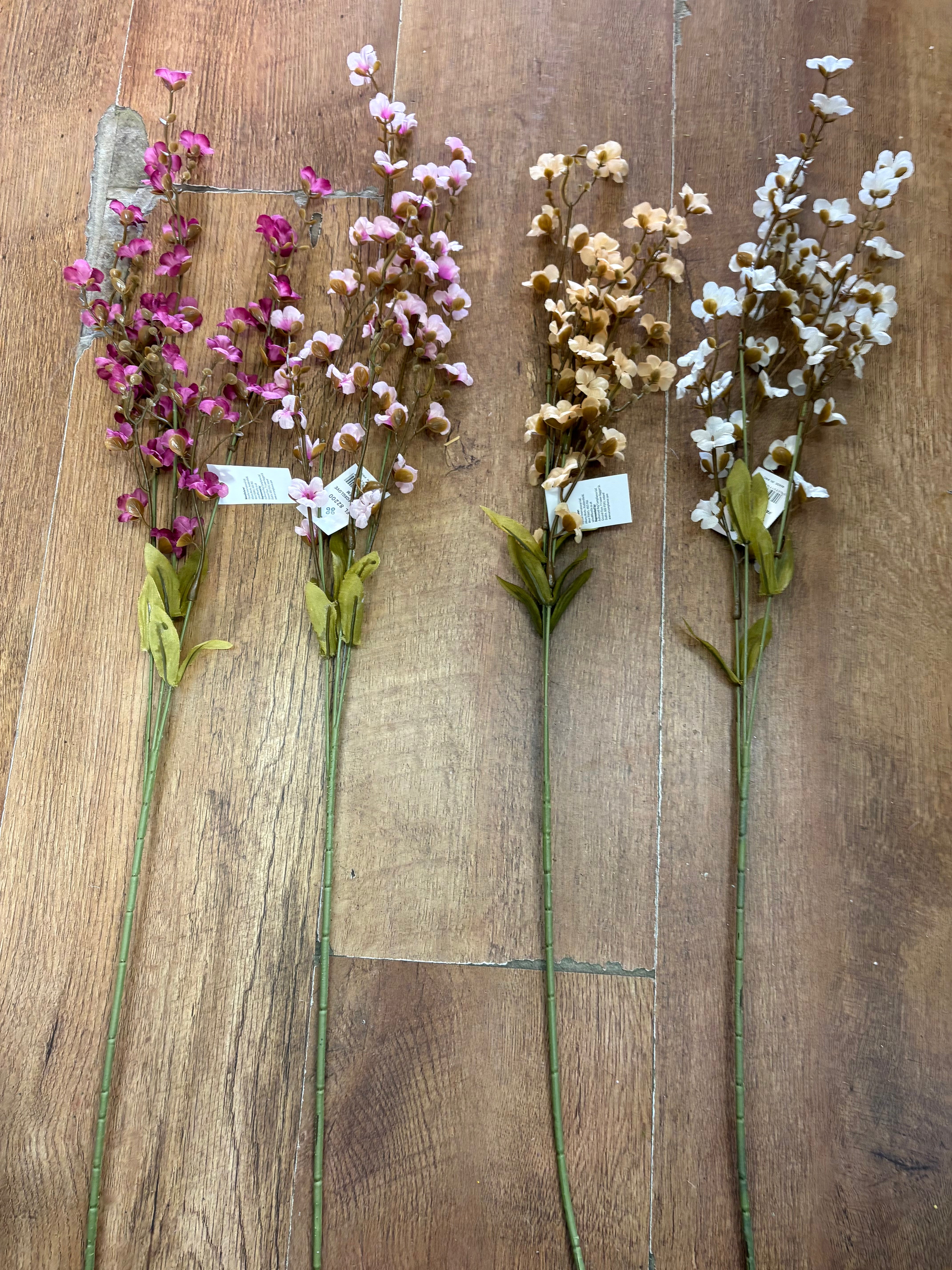 Long stem fairy foxglove - 4 colours available