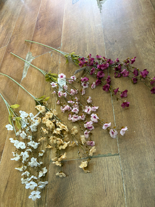 Long stem fairy foxglove - 4 colours available