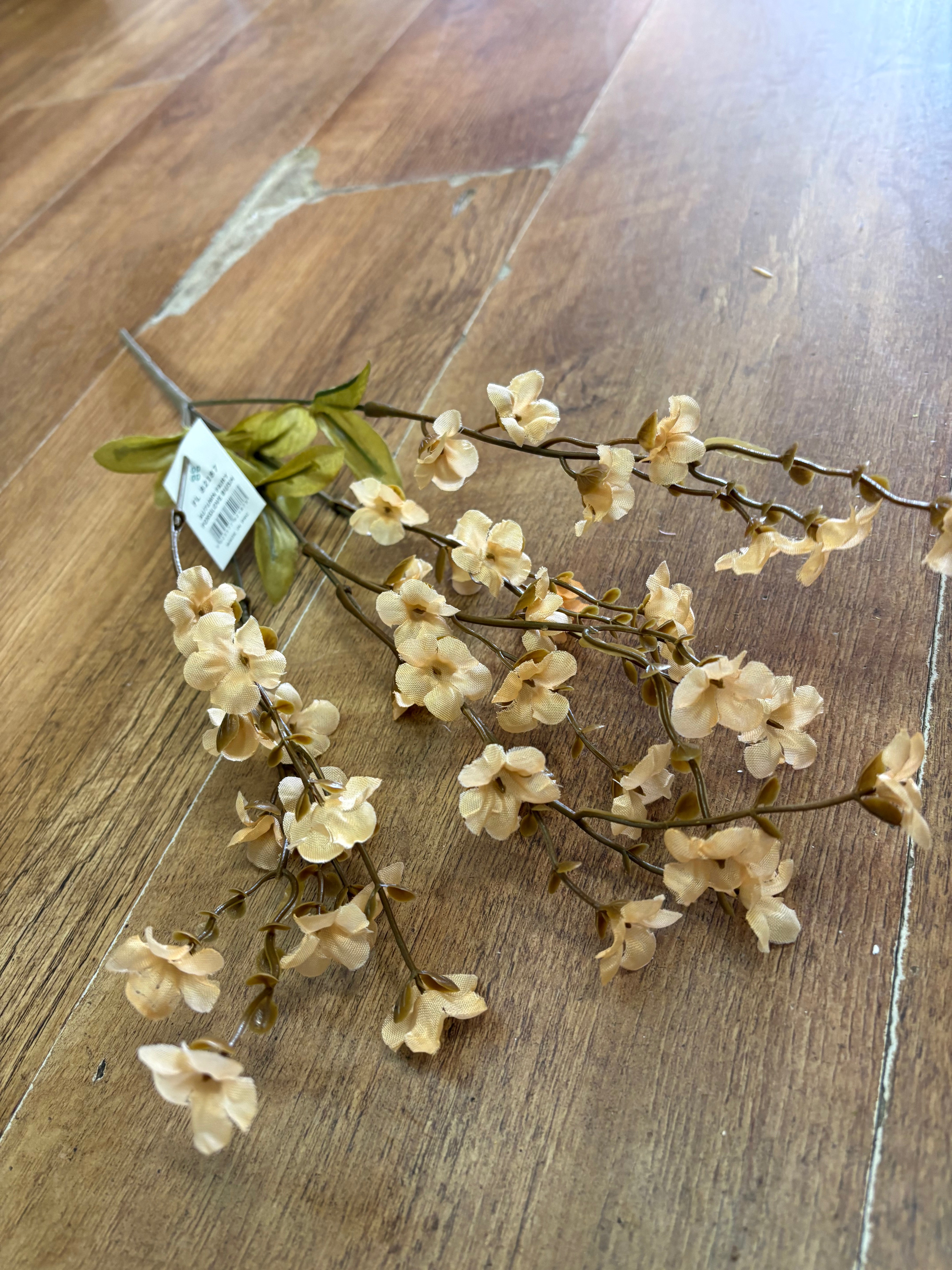 Fairy foxglove bush - 4 colours available