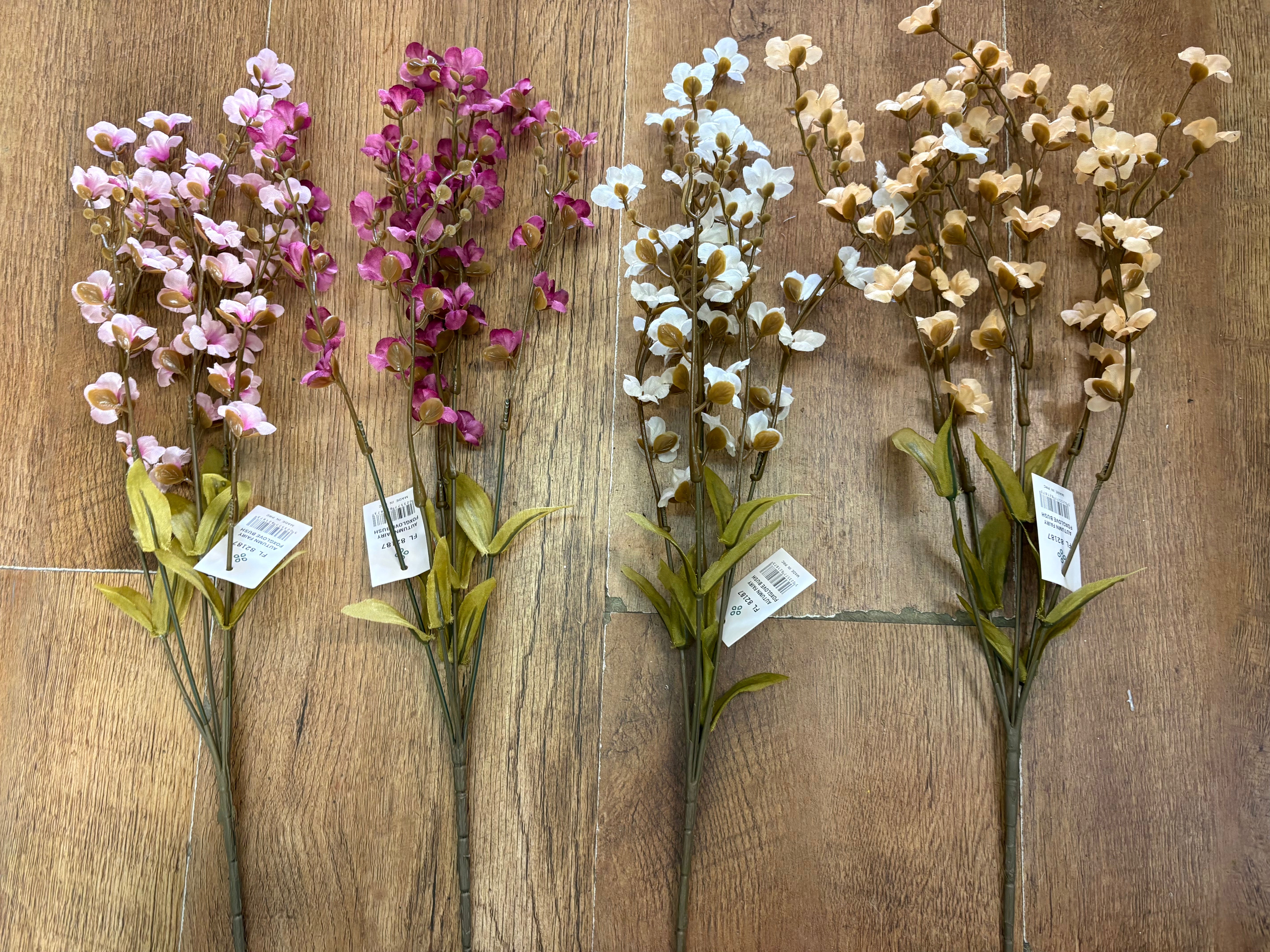 Fairy foxglove bush - 4 colours available