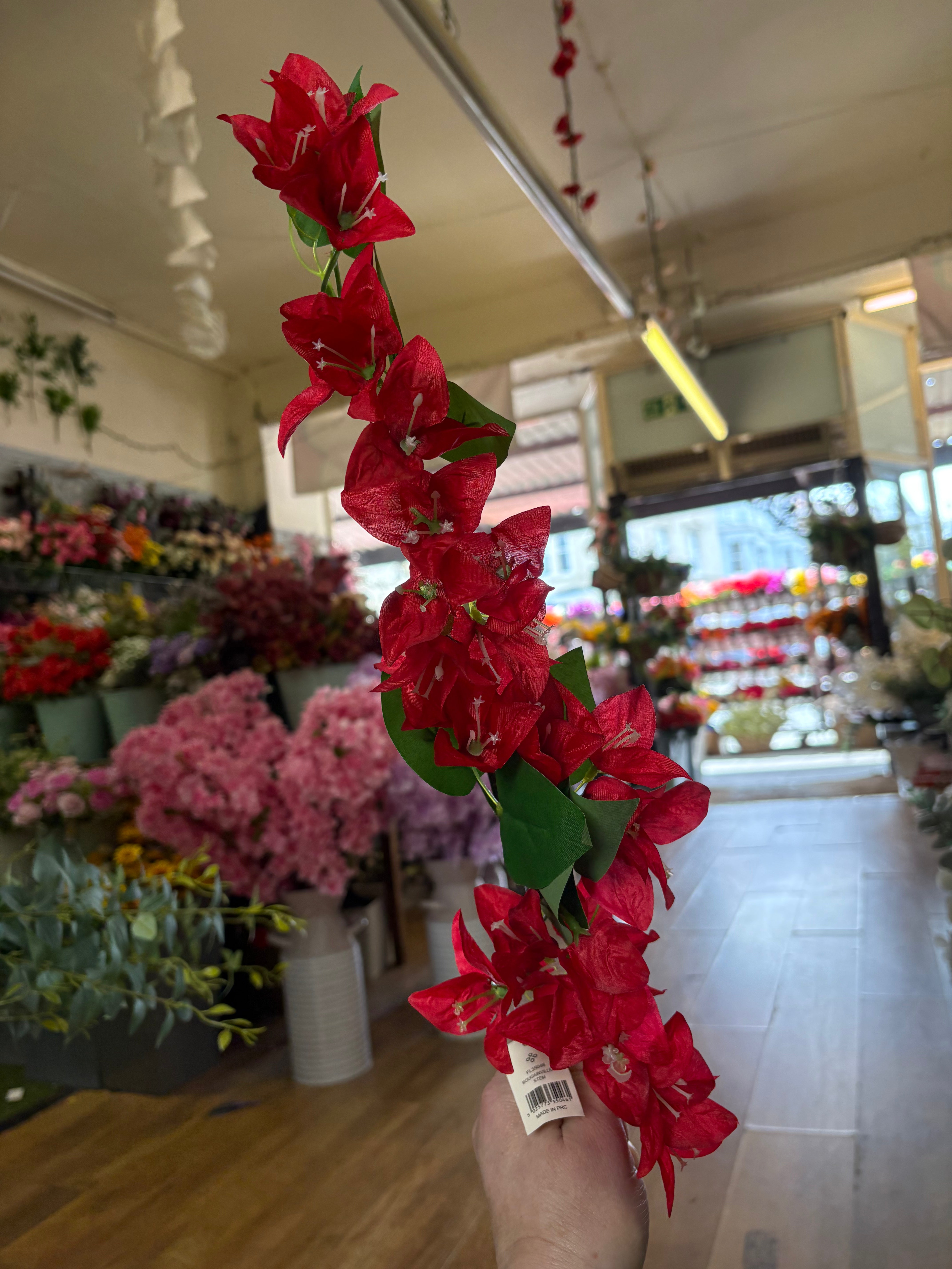 Long stem bougainvillea - 4 colours available