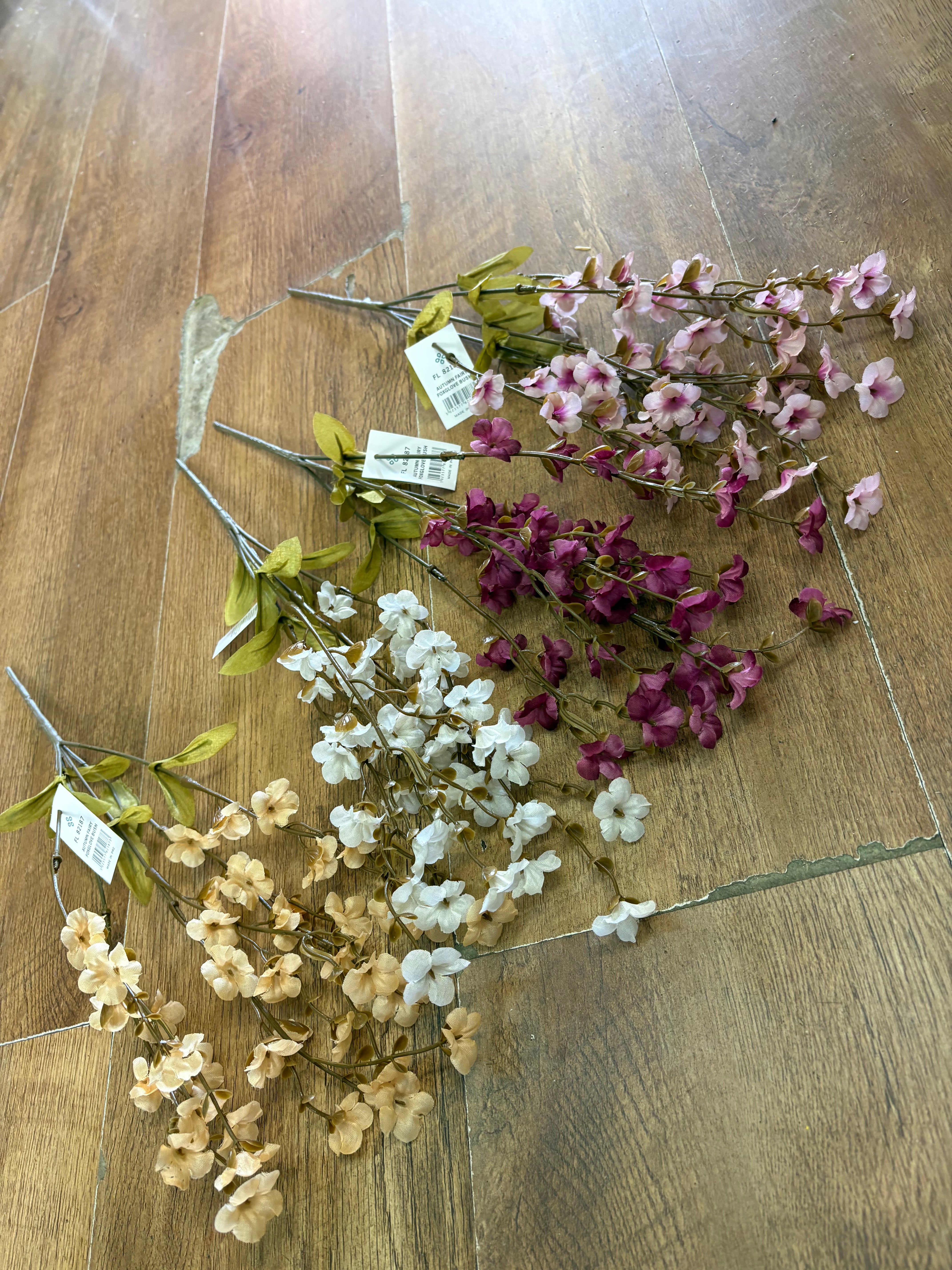 Fairy foxglove bush - 4 colours available