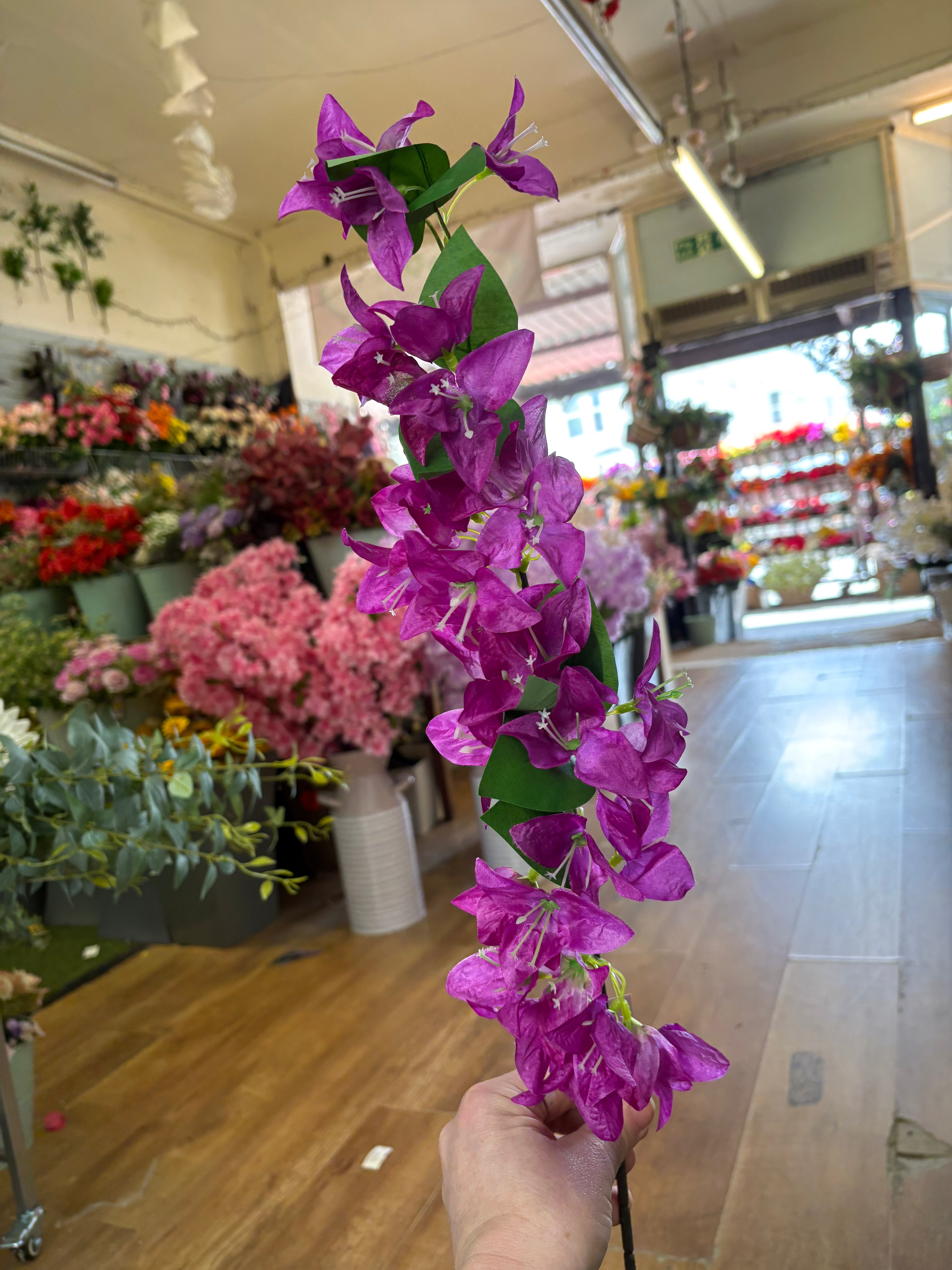 Long stem bougainvillea - 4 colours available