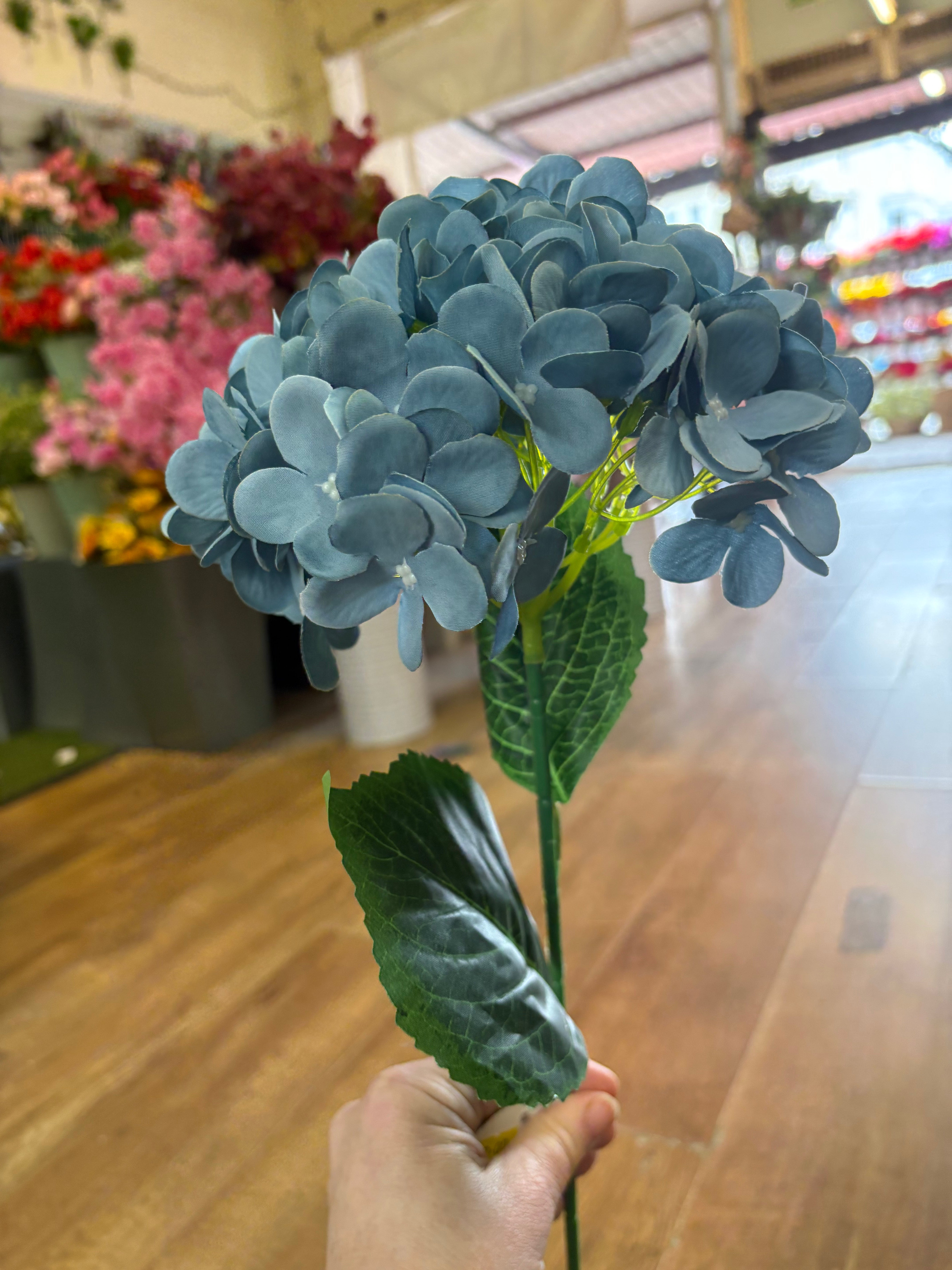 Long stem blue hydrangea
