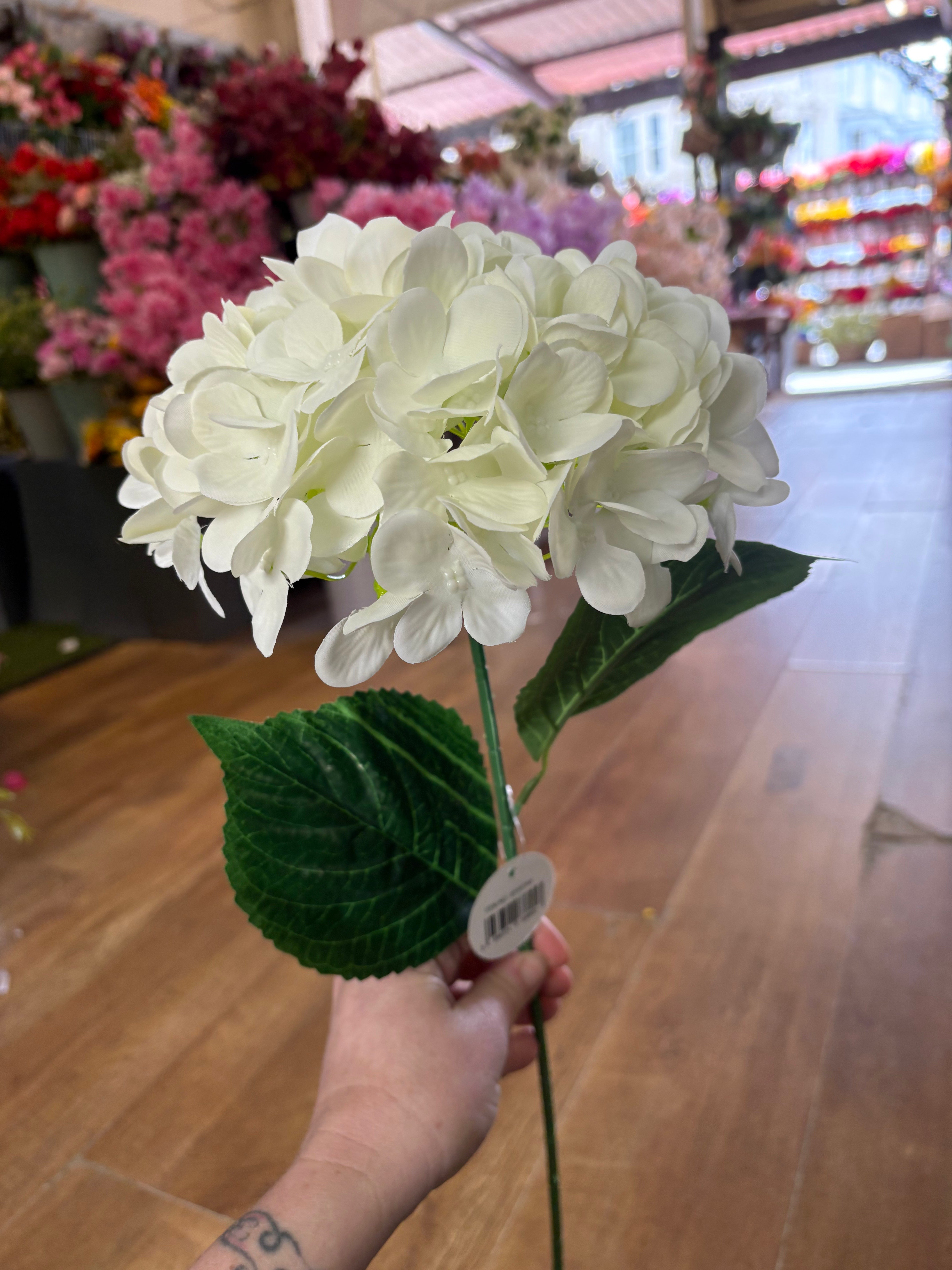 Long stem white hydrangea