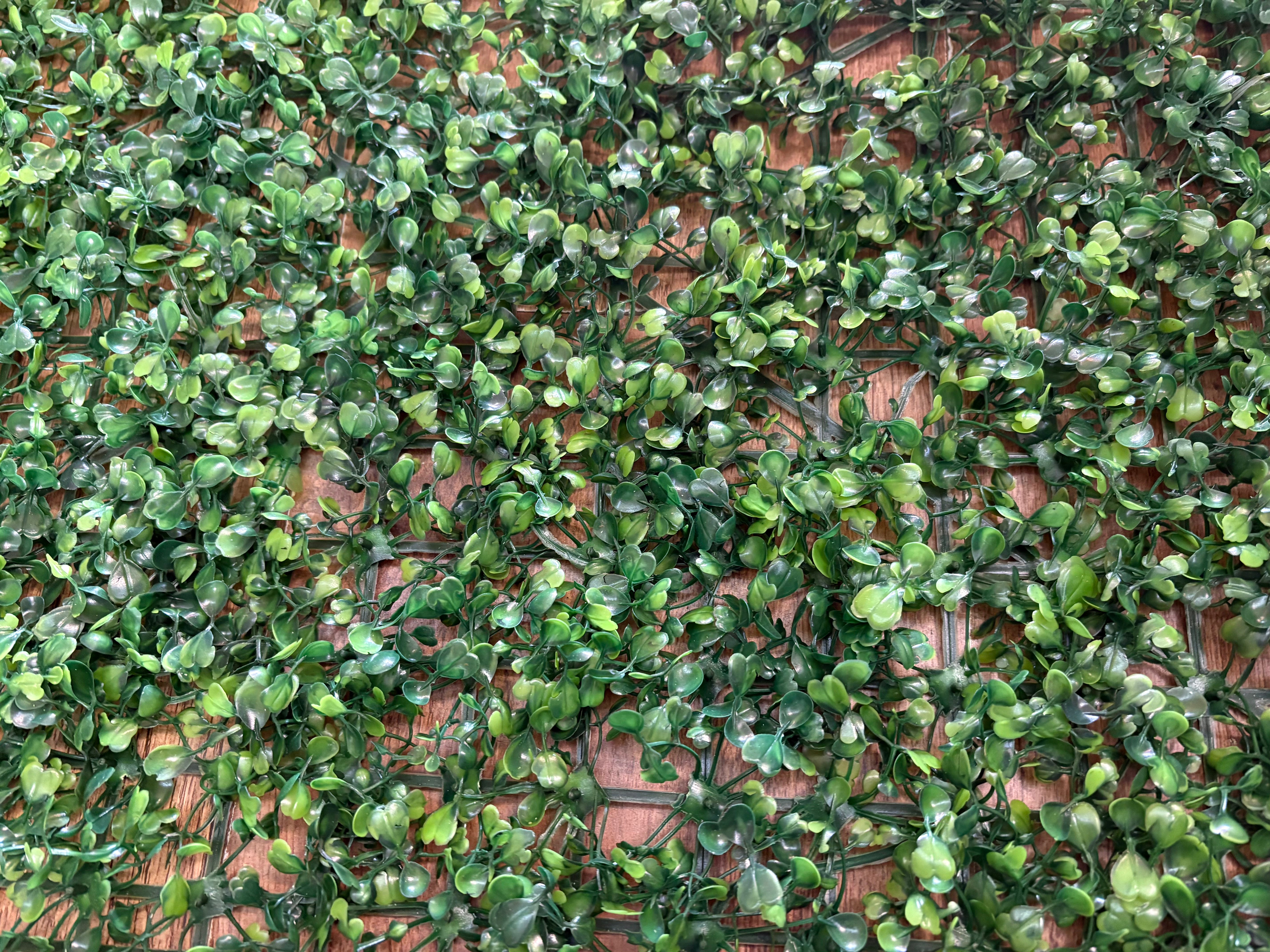 60cm x 45cm boxwood foliage panel