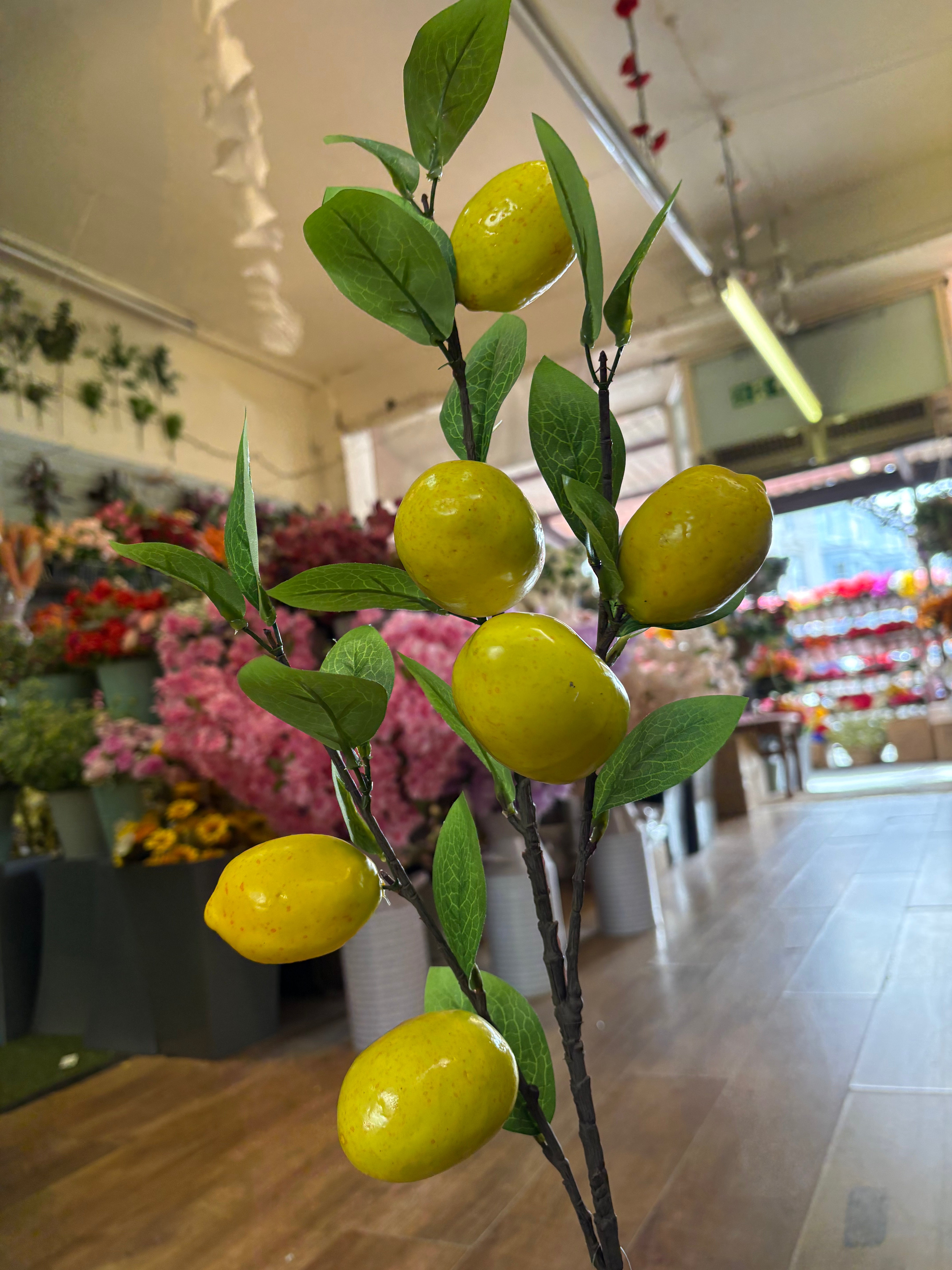 90cm tall lemon spray