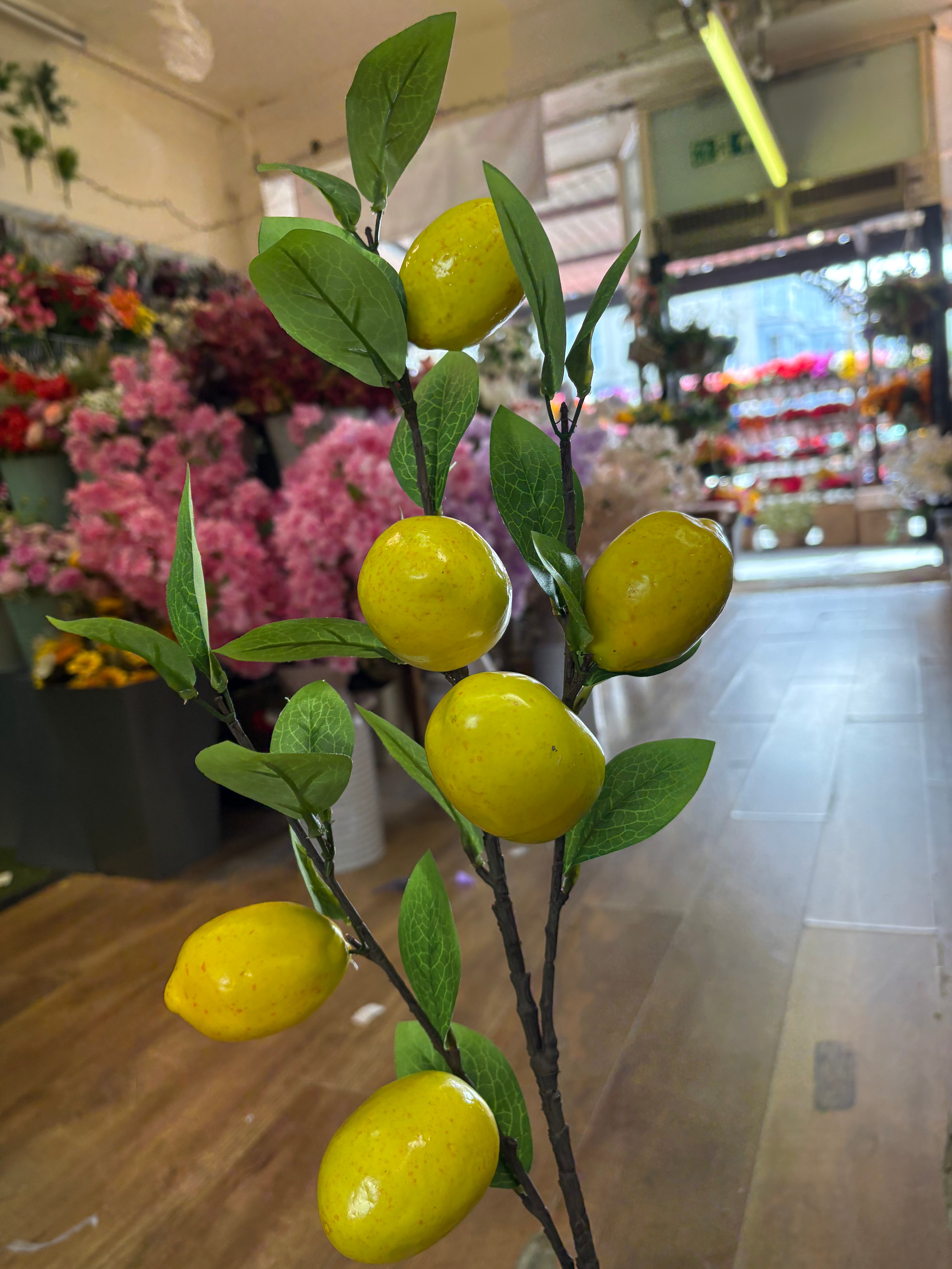90cm tall lemon spray