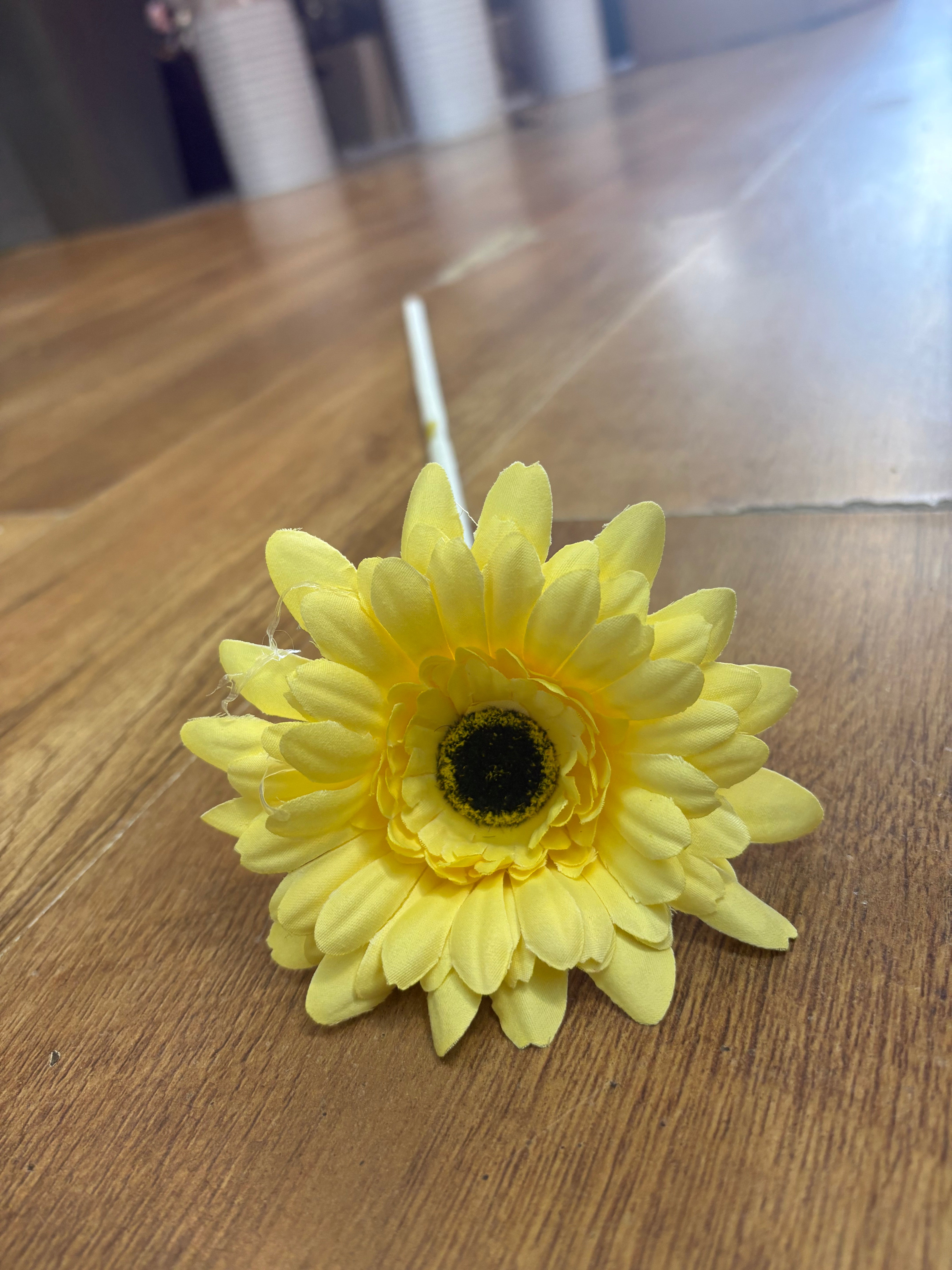 Long stem single yellow gerbera