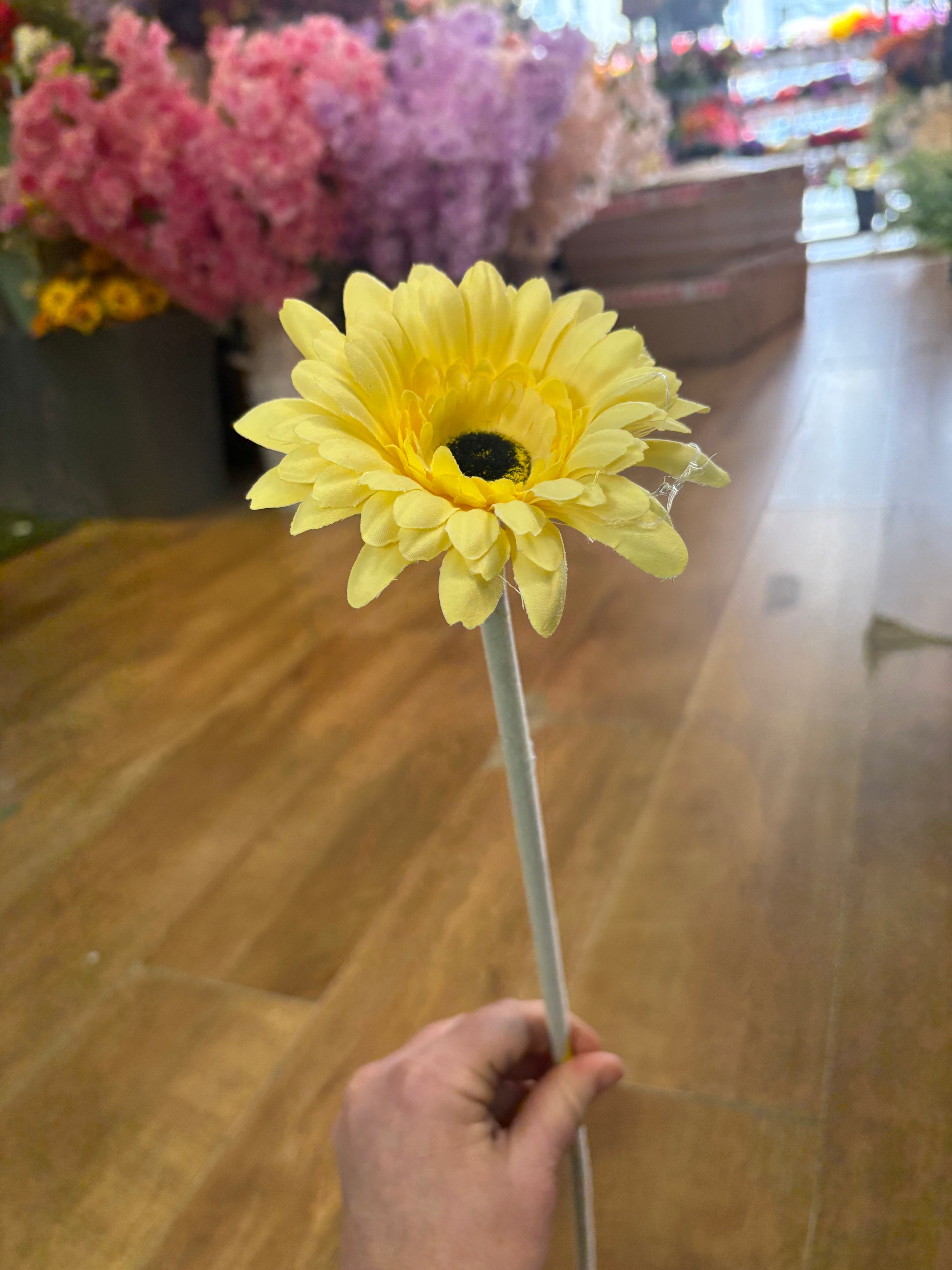 Long stem single yellow gerbera