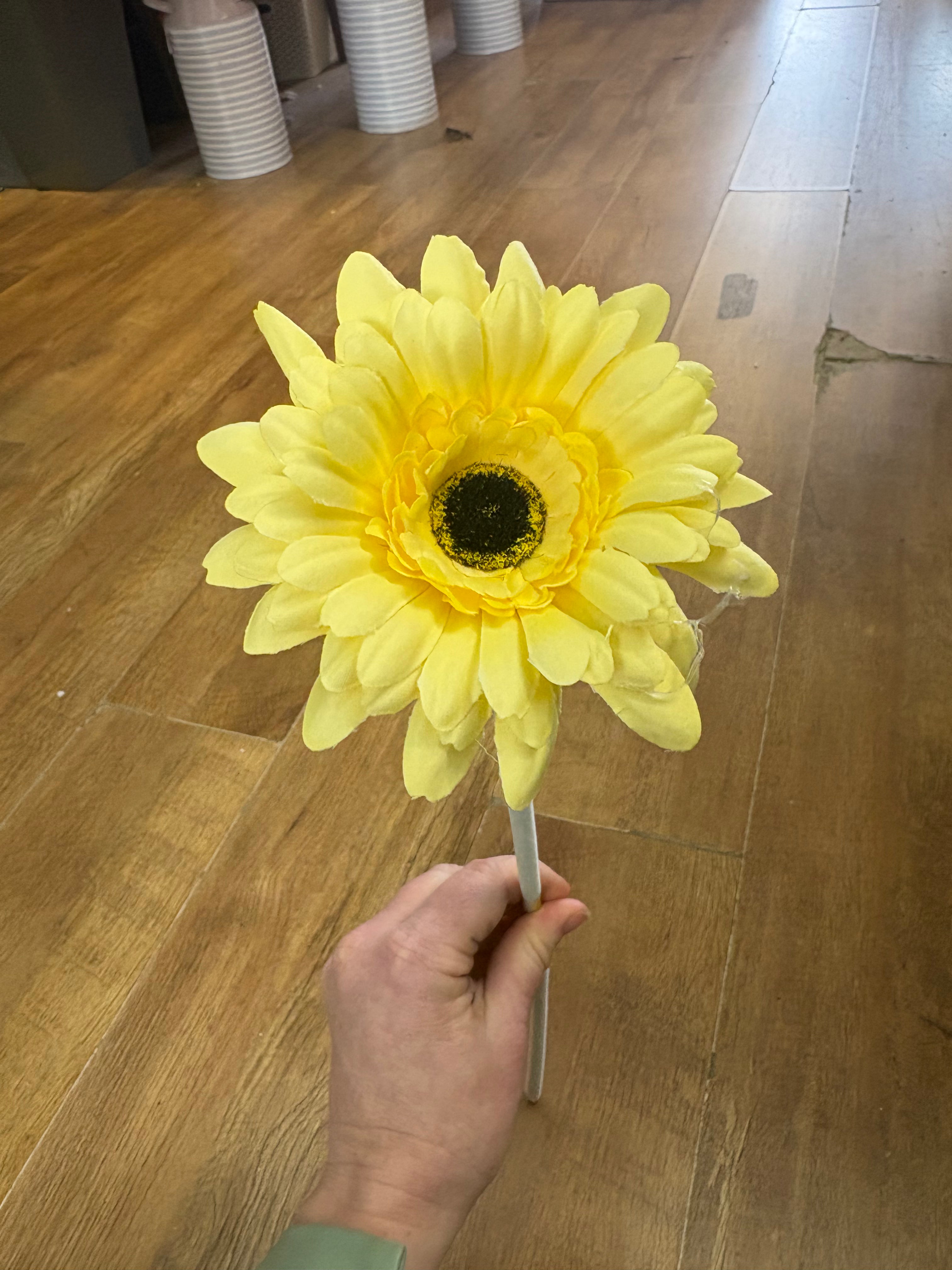 Long stem single yellow gerbera