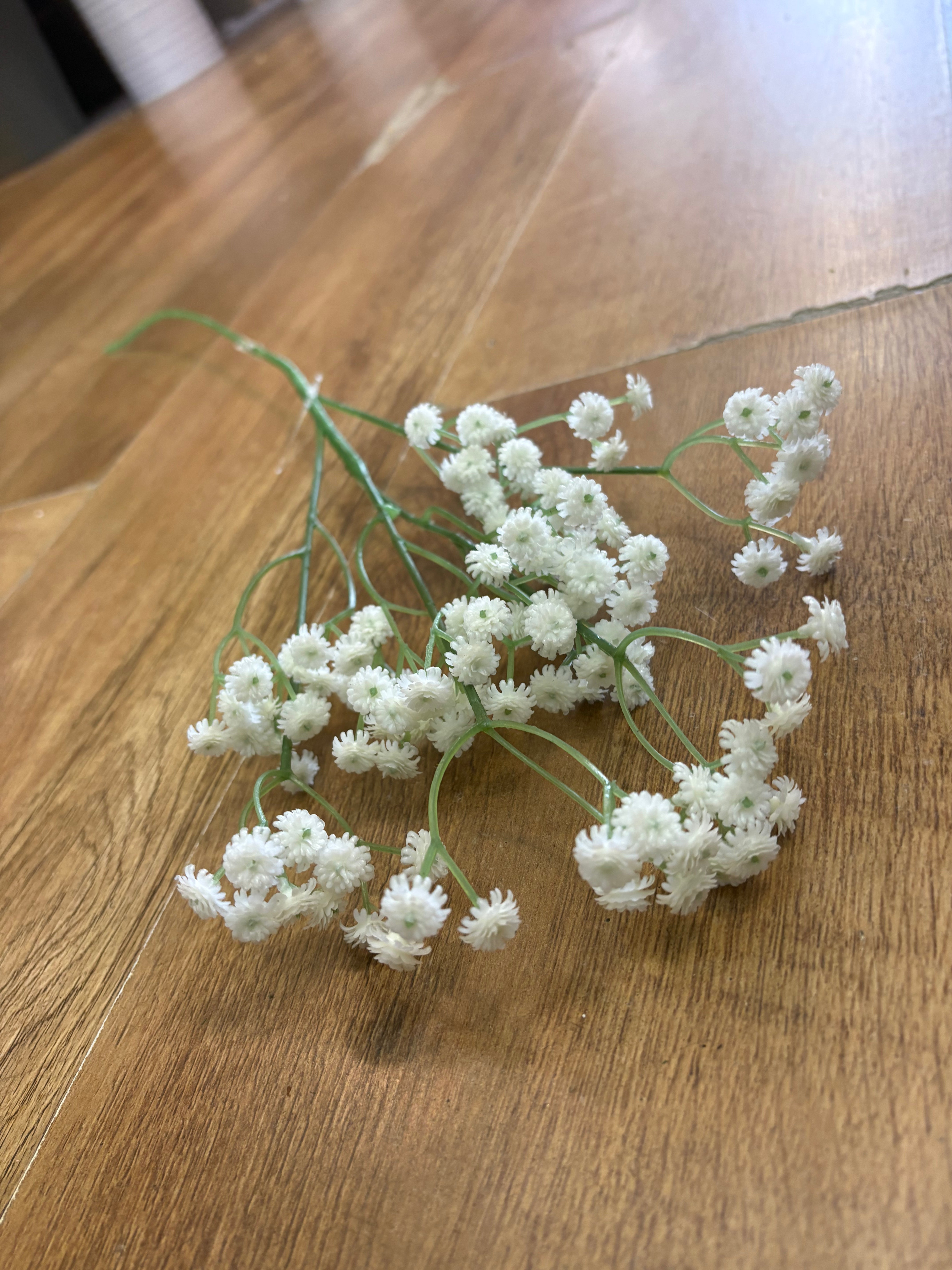 Long stem white fluffy gyp