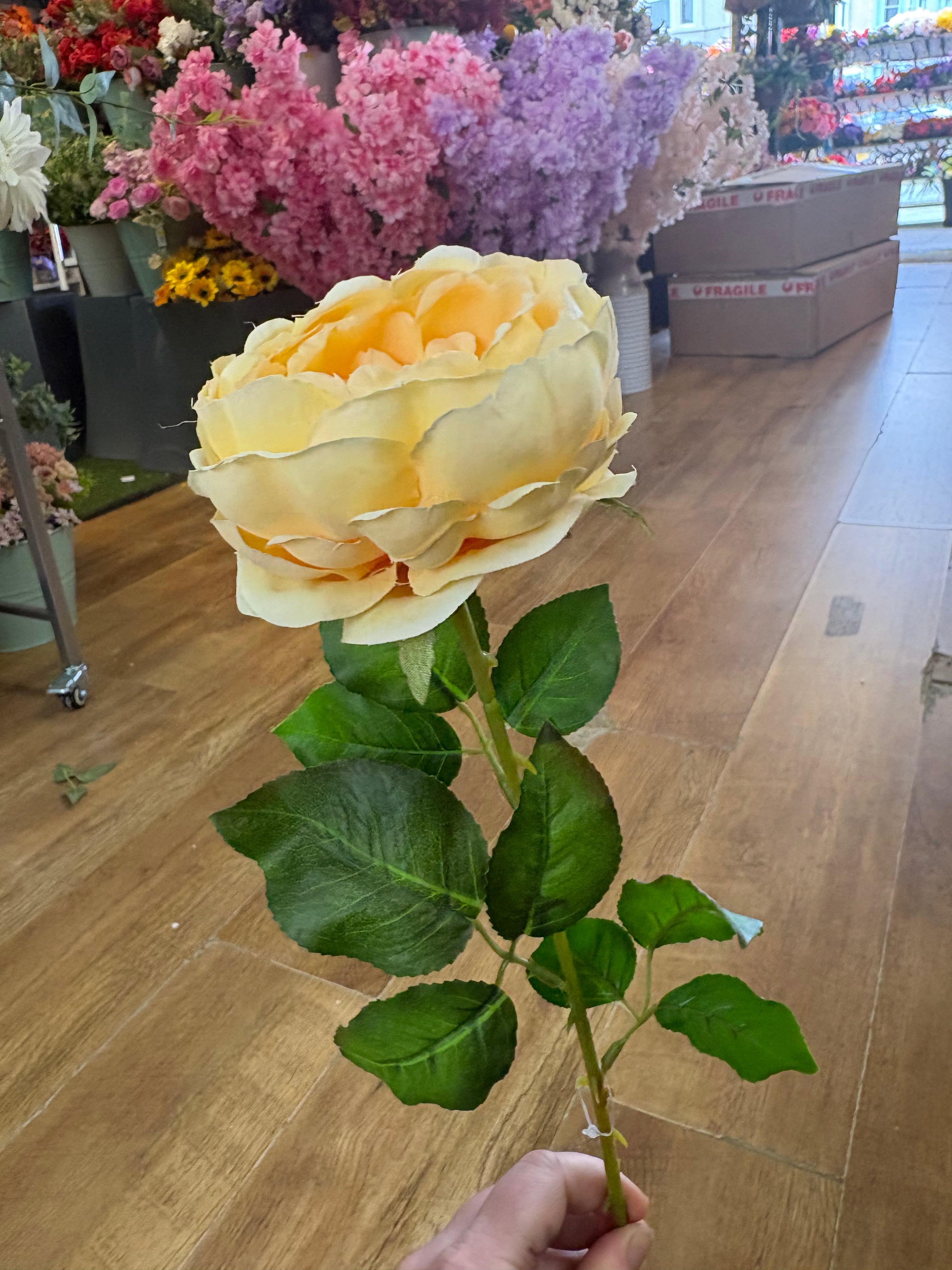 yellow Lola peony stem