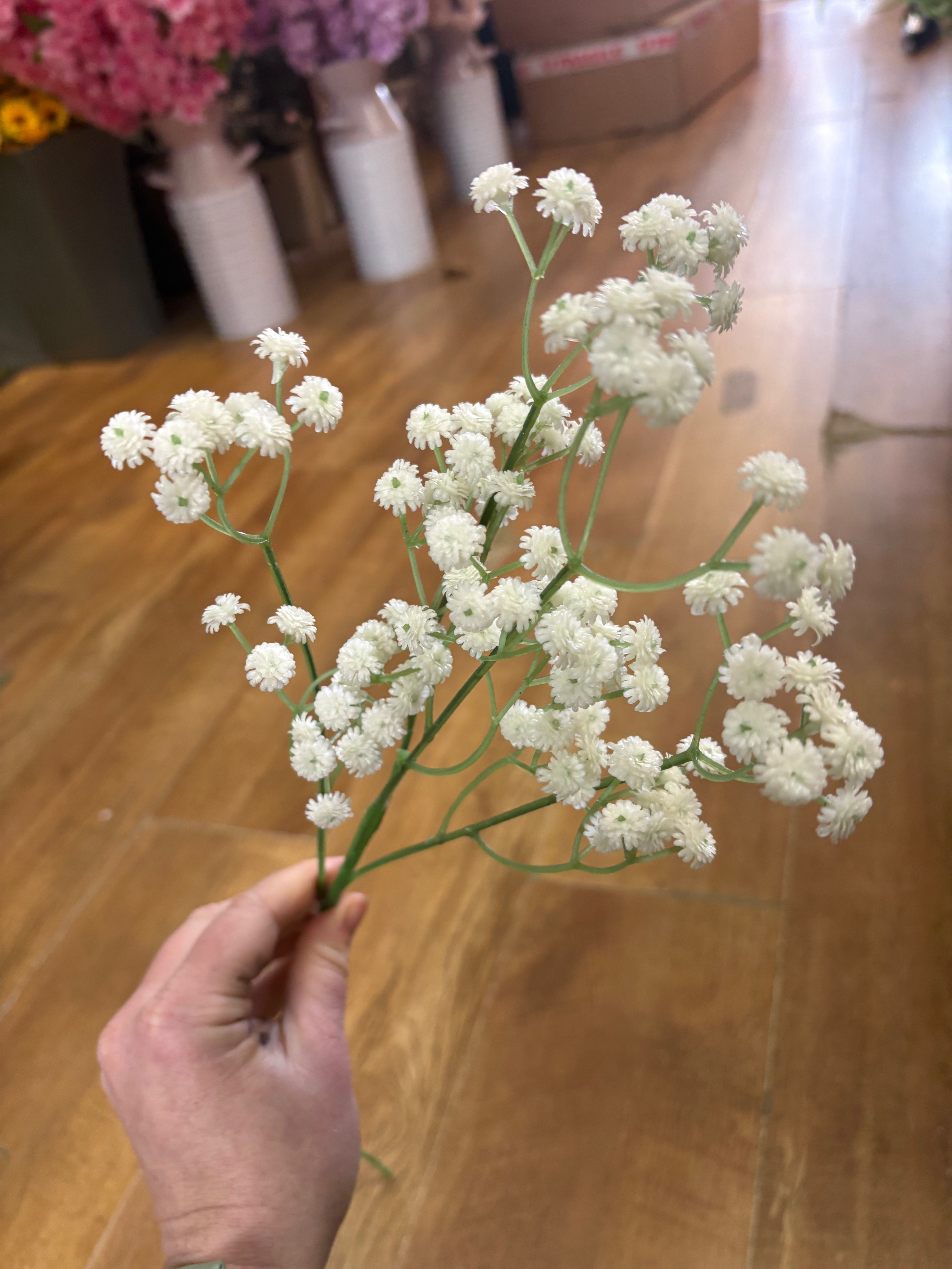 Long stem white fluffy gyp