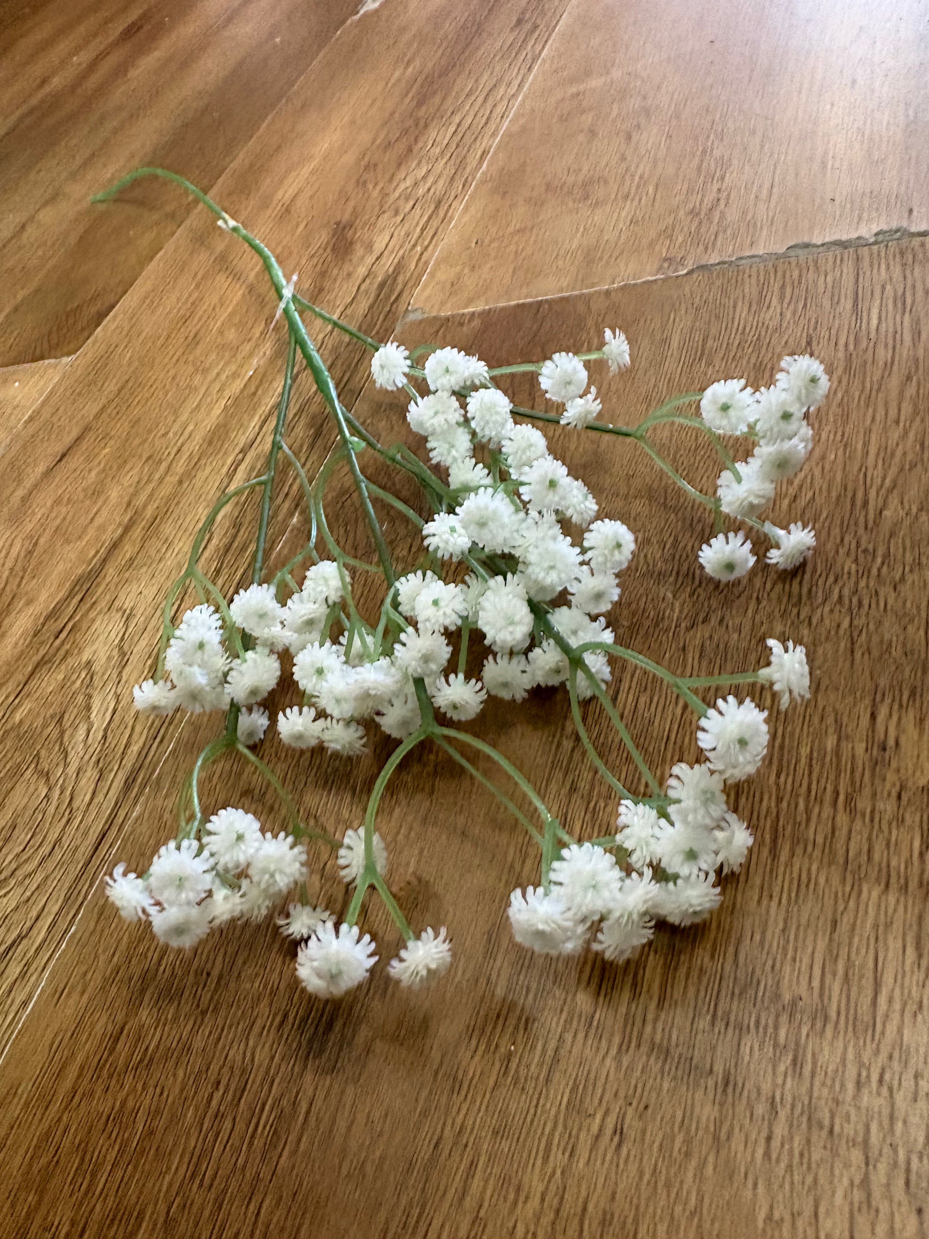 Long stem white fluffy gyp
