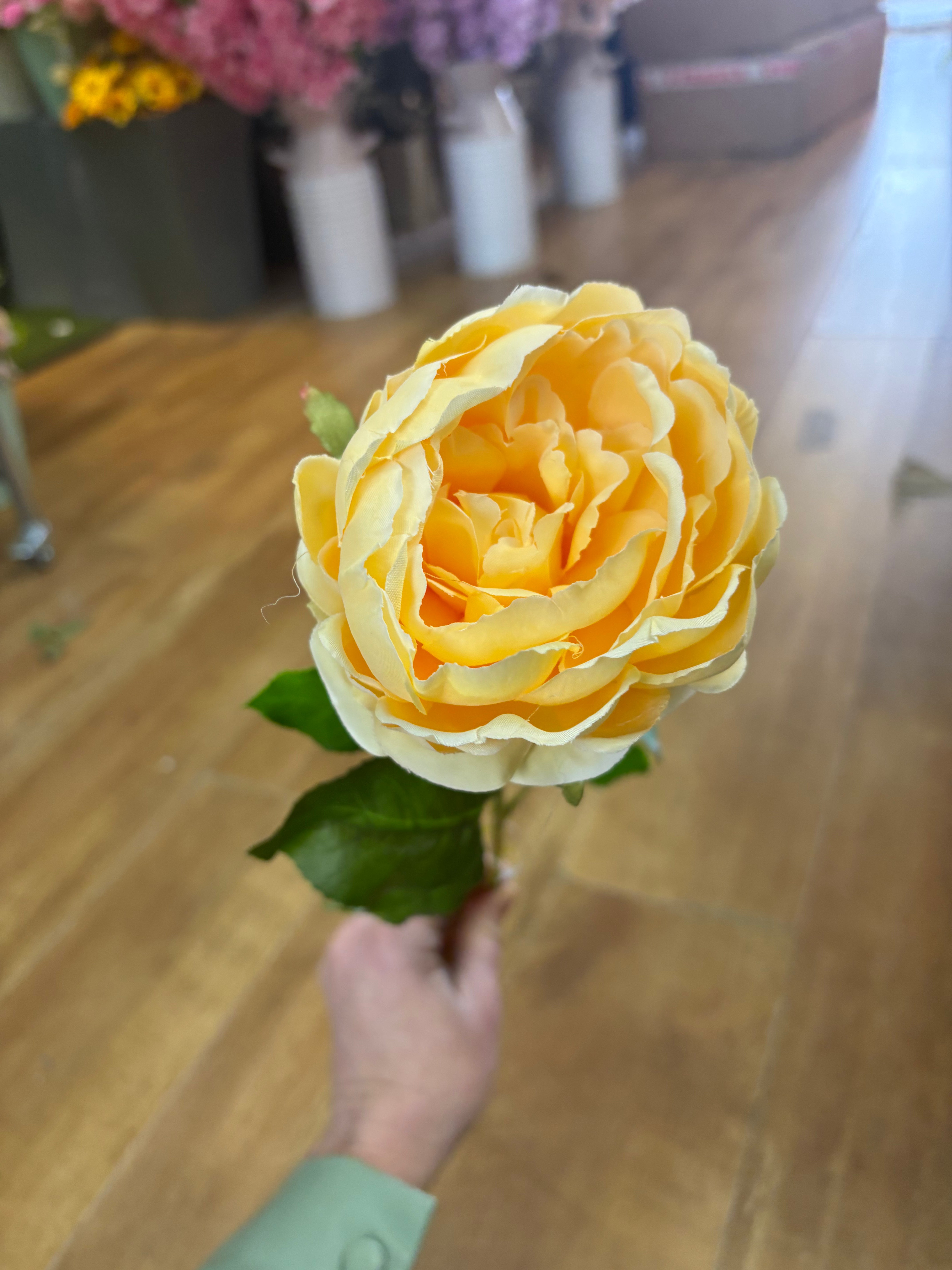 yellow Lola peony stem
