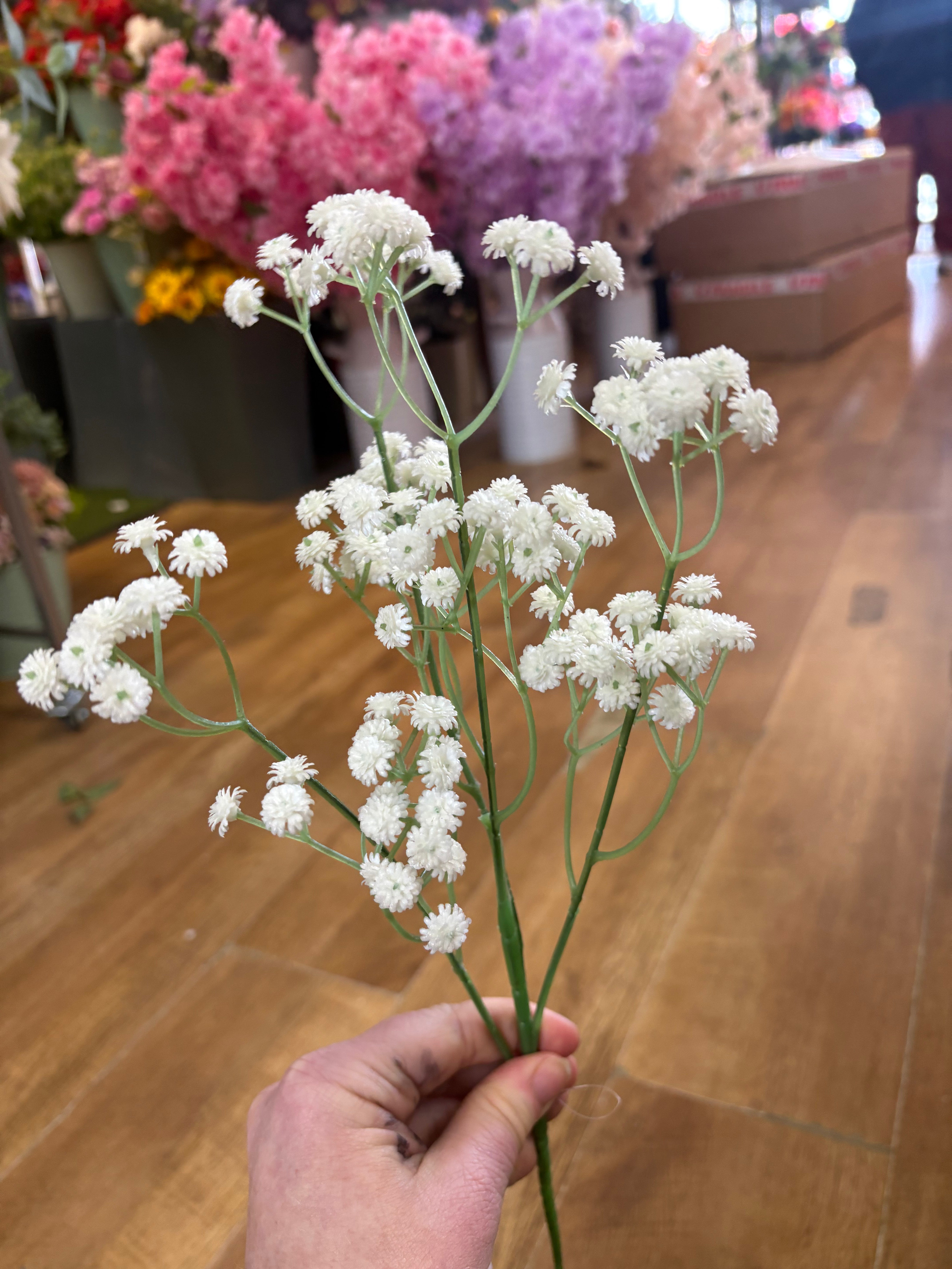 Long stem white fluffy gyp