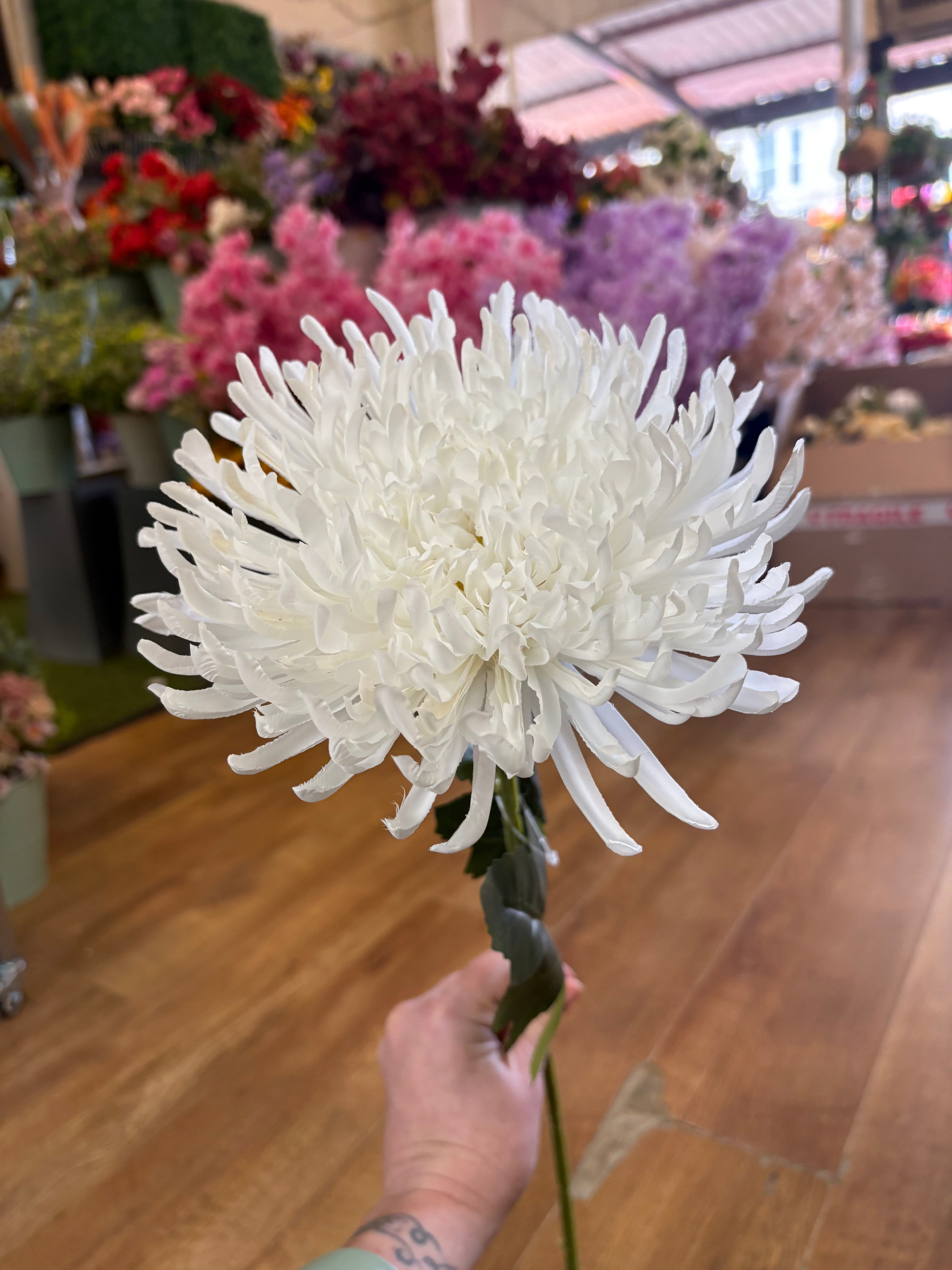Long stem white Fuji mum