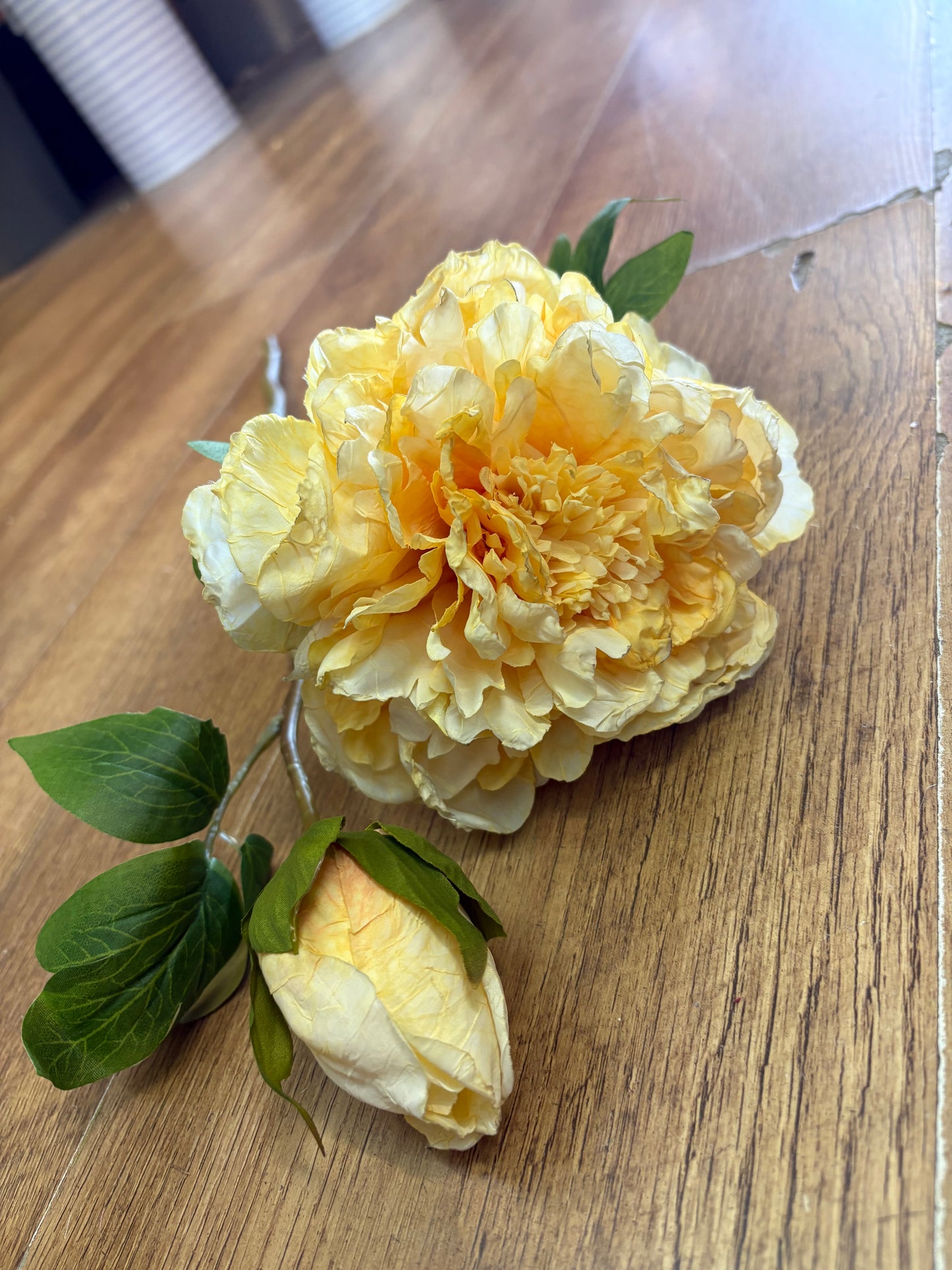 Dried inspired yellow open peony and bud stem