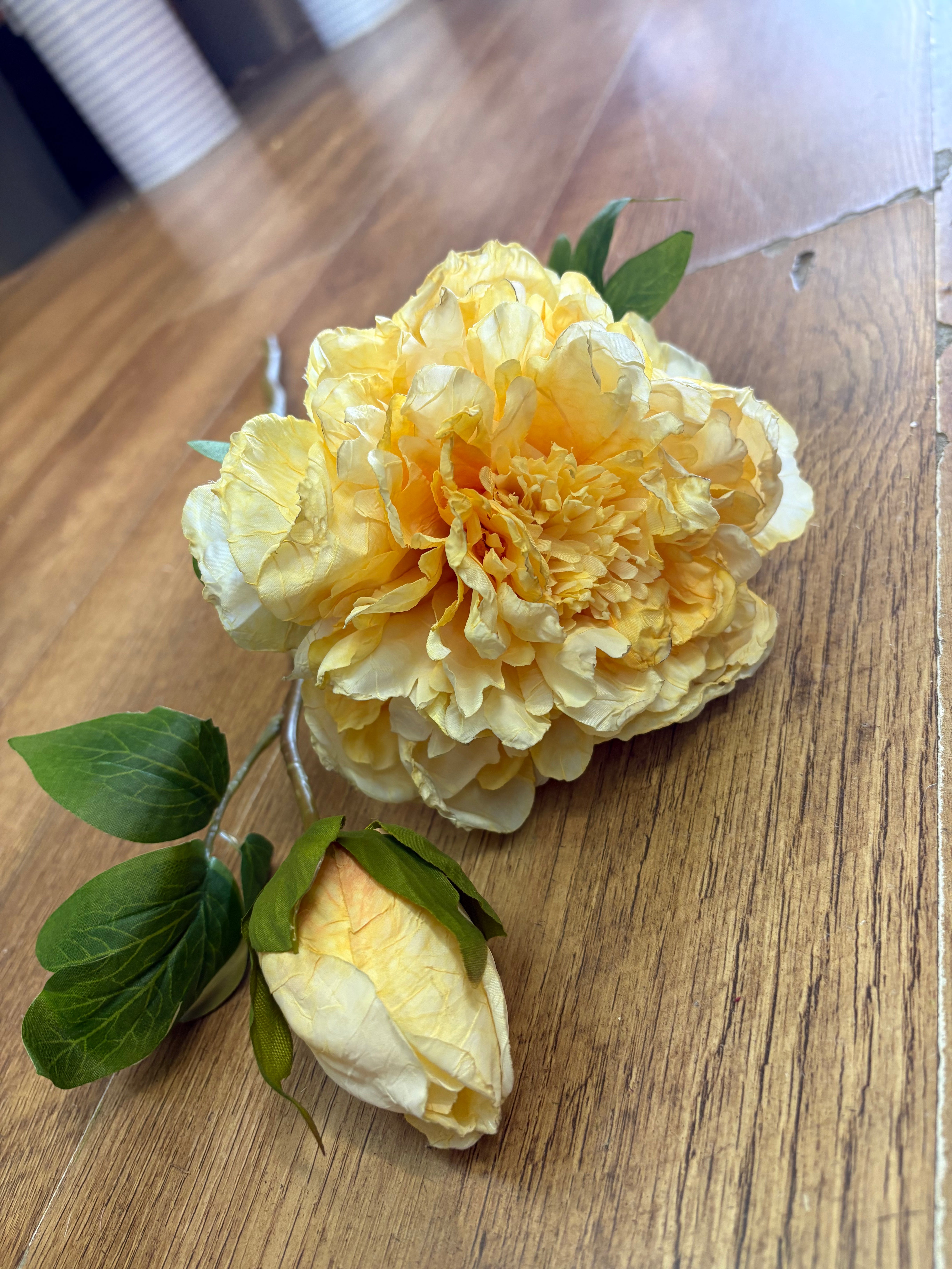 Dried inspired yellow open peony and bud stem