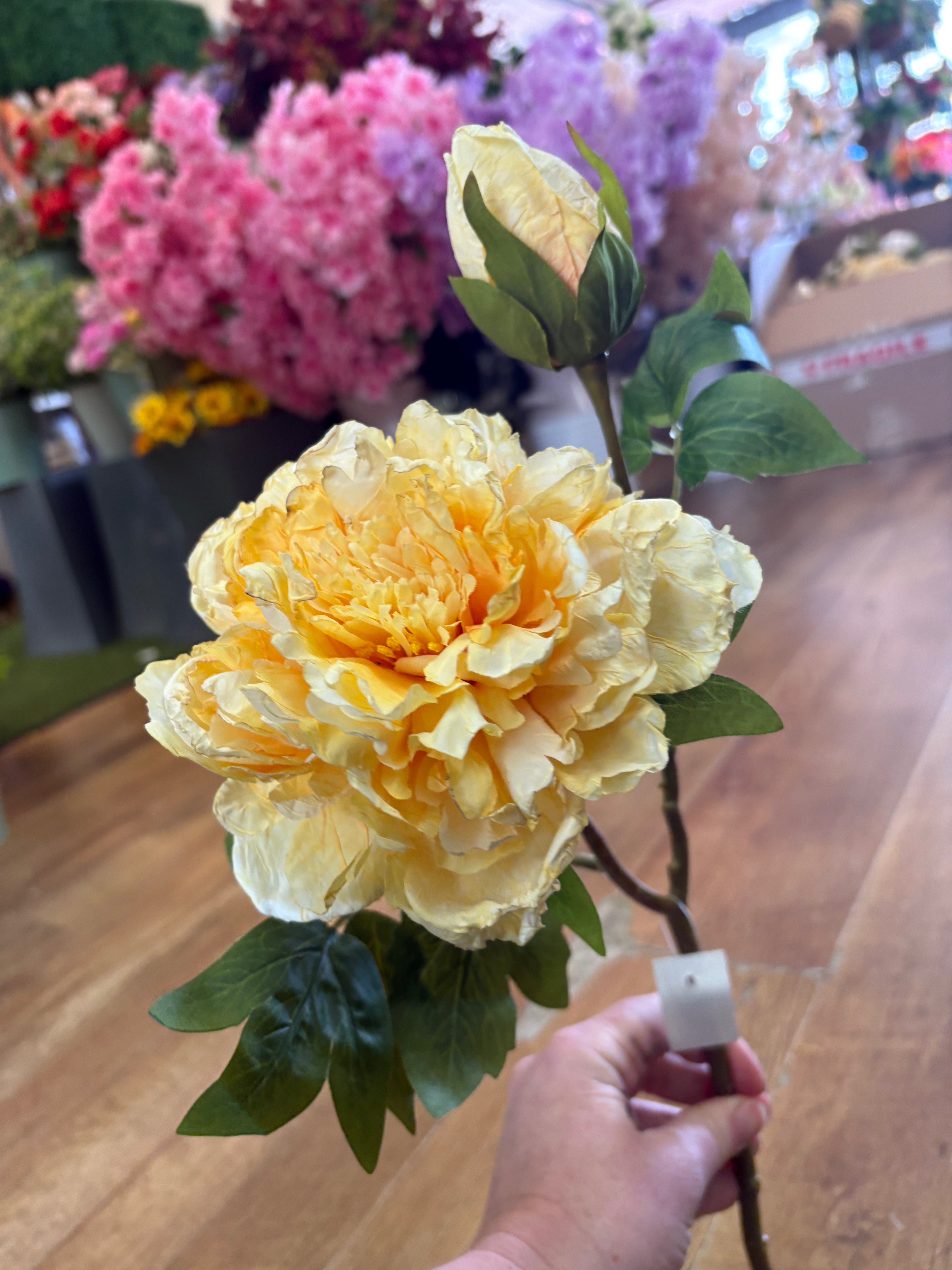 Dried inspired yellow open peony and bud stem