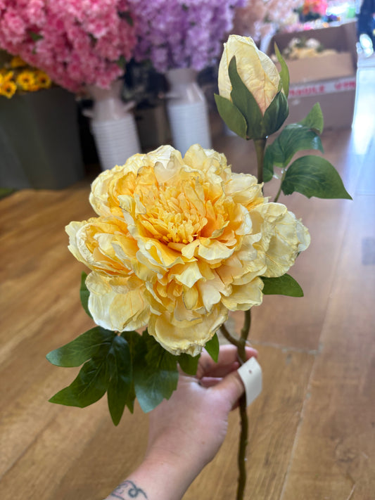 Dried inspired yellow open peony and bud stem