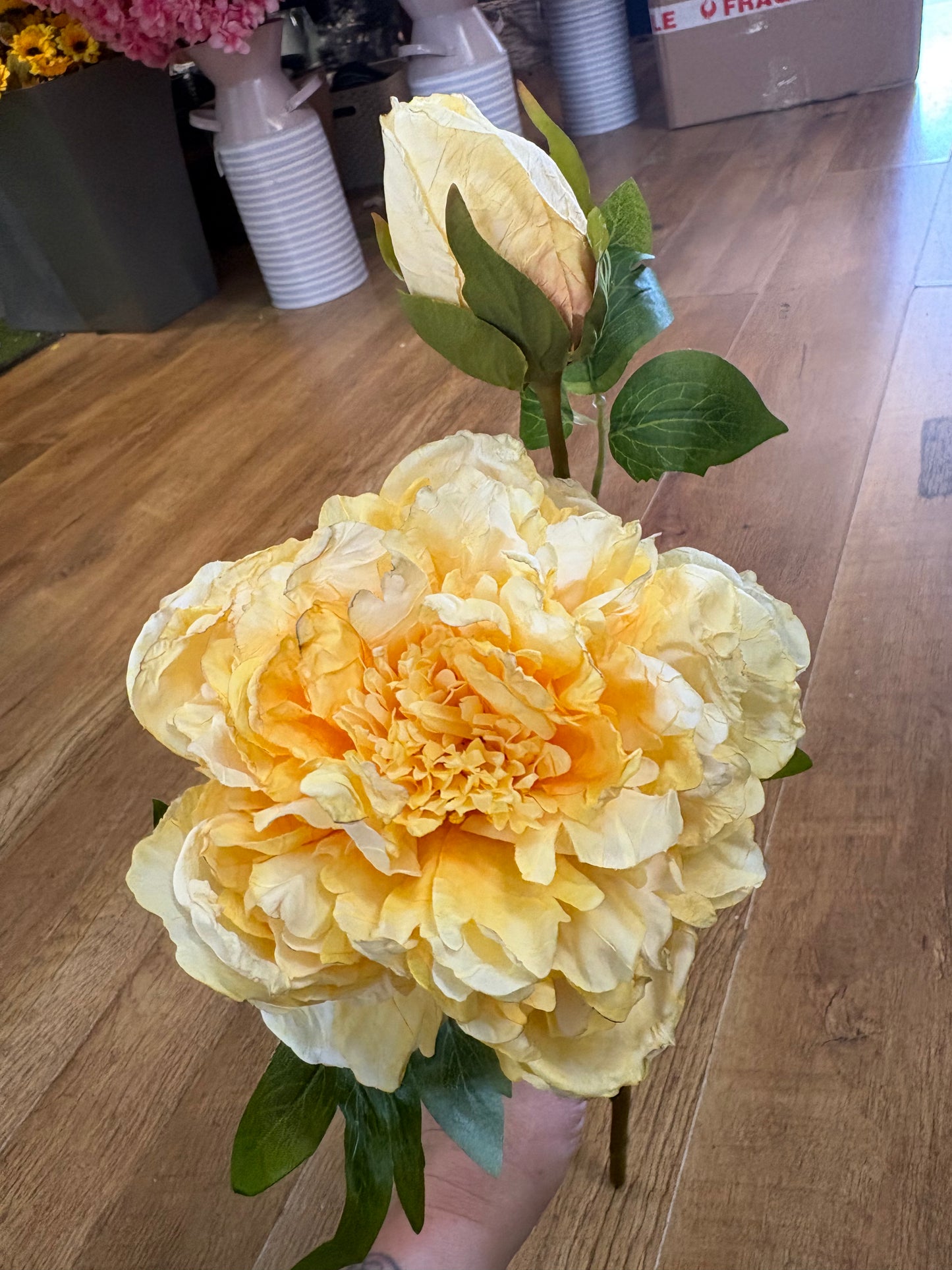 Dried inspired yellow open peony and bud stem