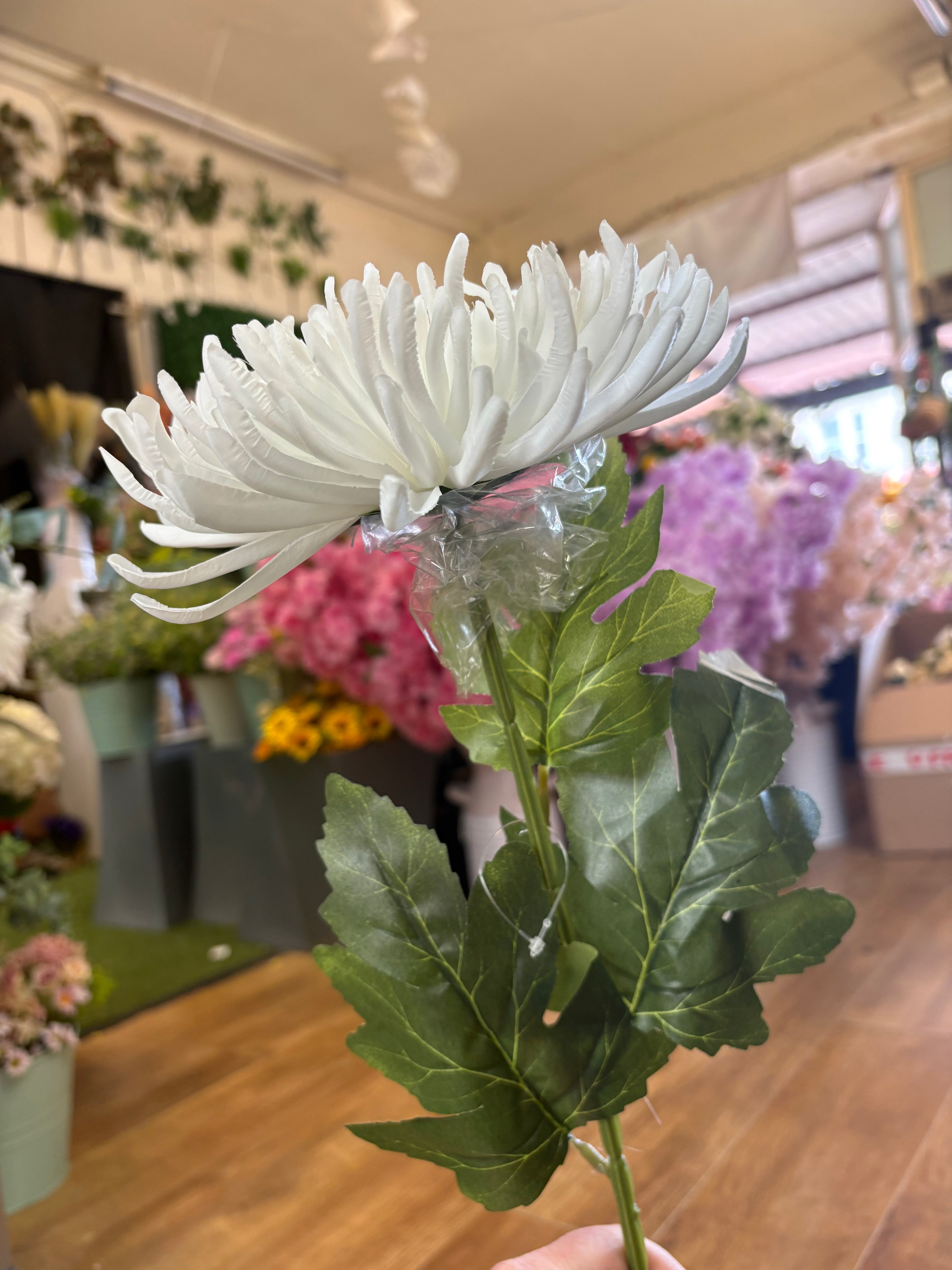 Long stem white Fuji mum