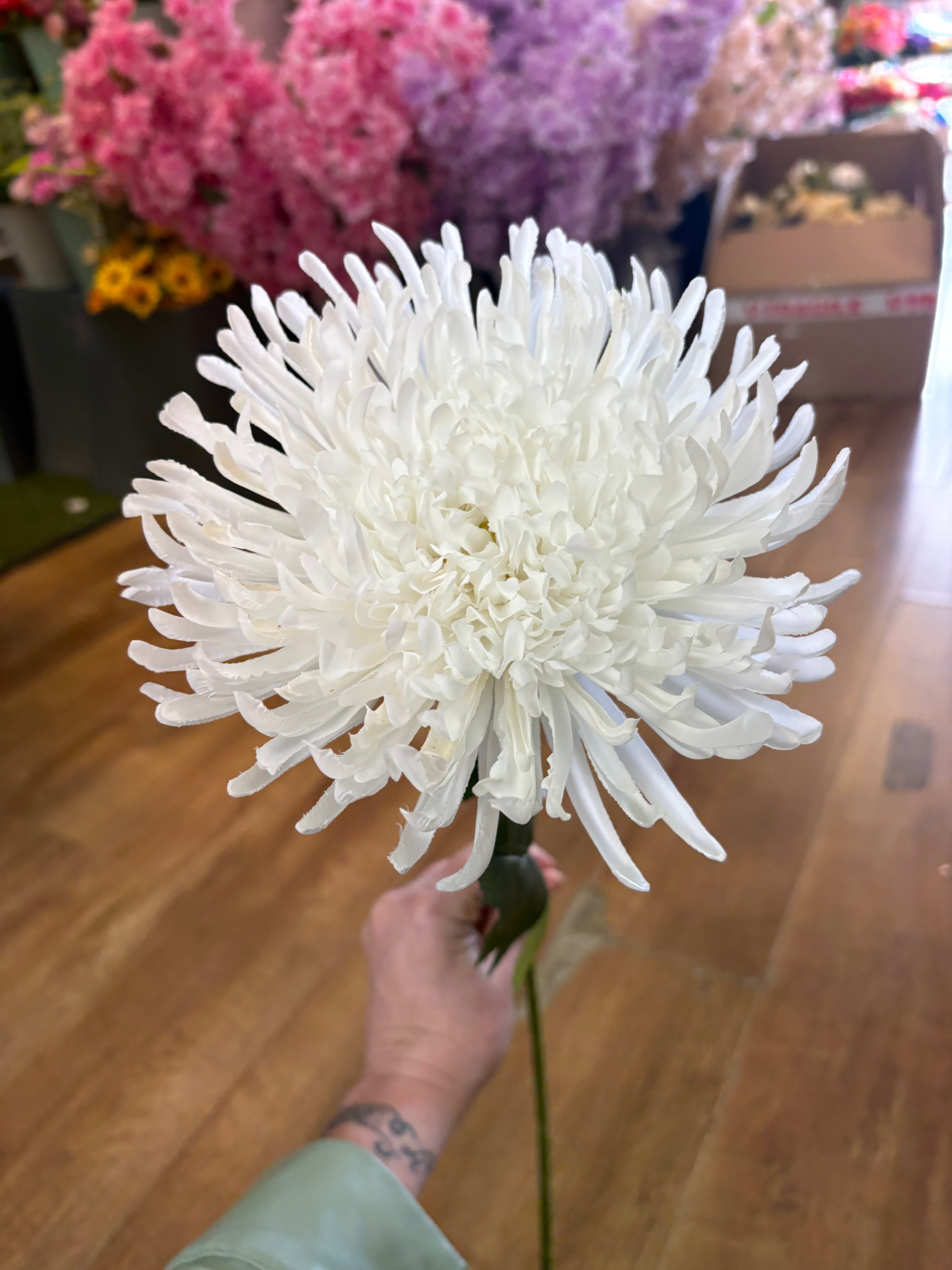 Long stem white Fuji mum