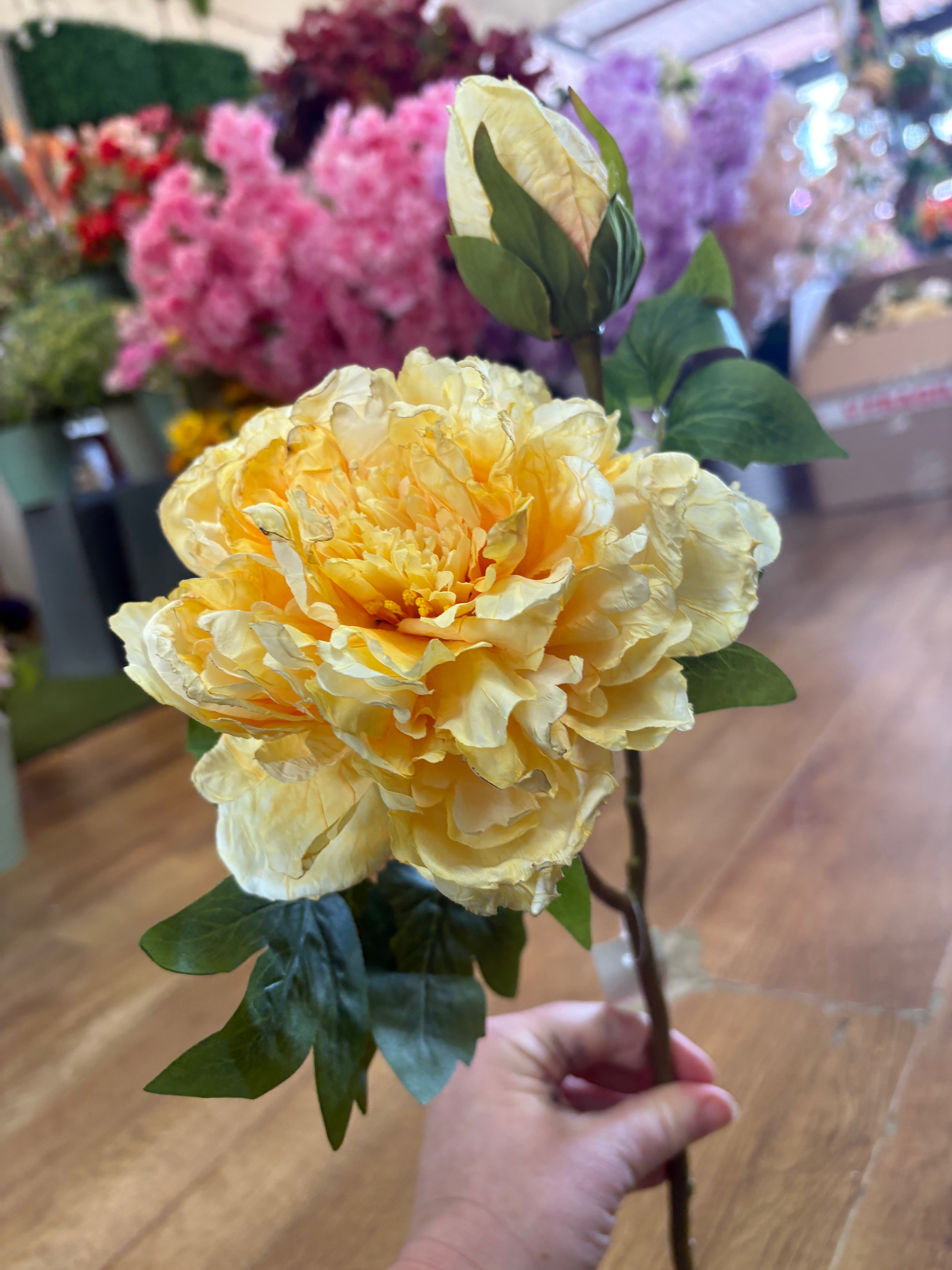 Dried inspired yellow open peony and bud stem
