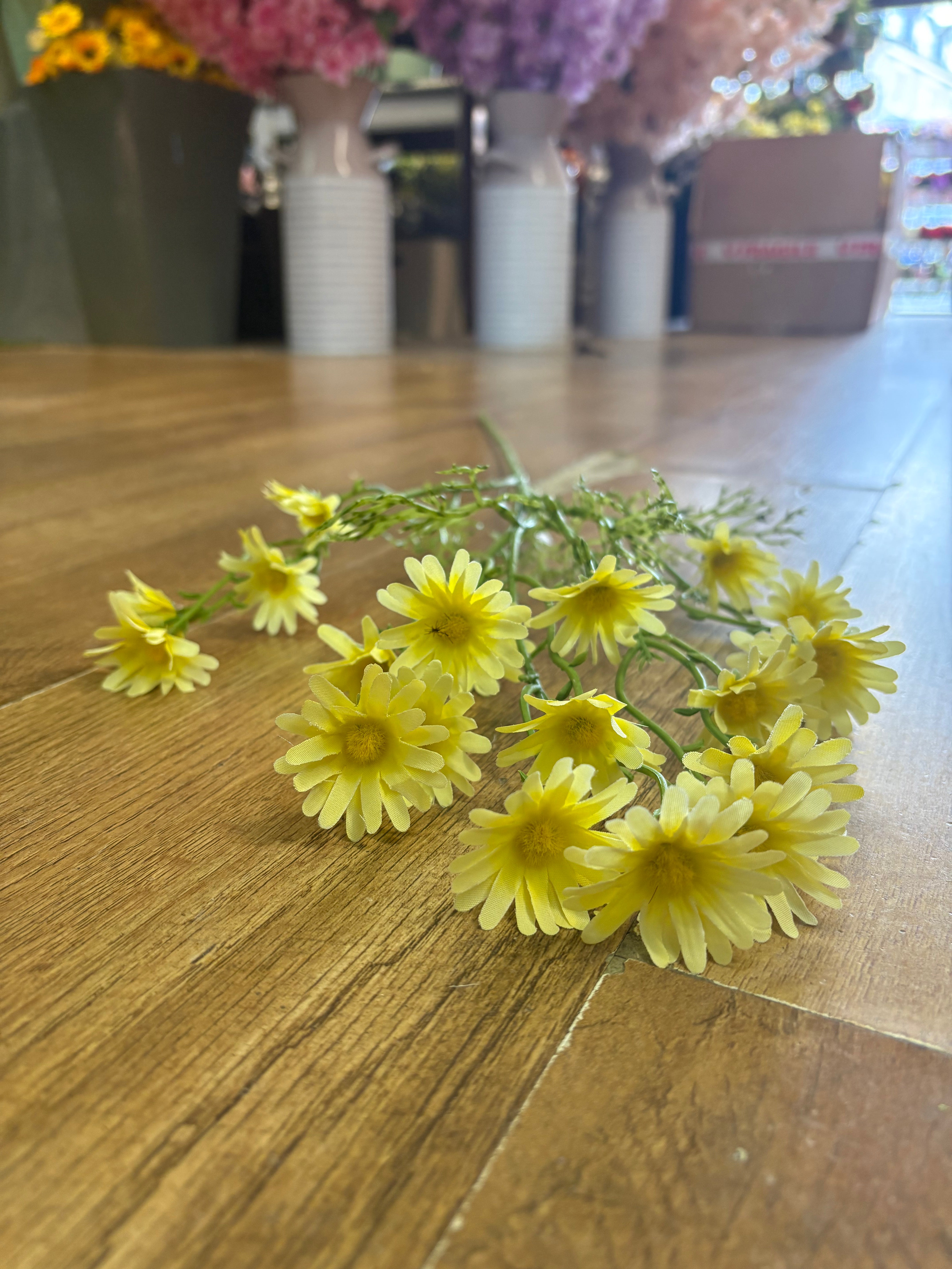 Long stem yellow aster daisy