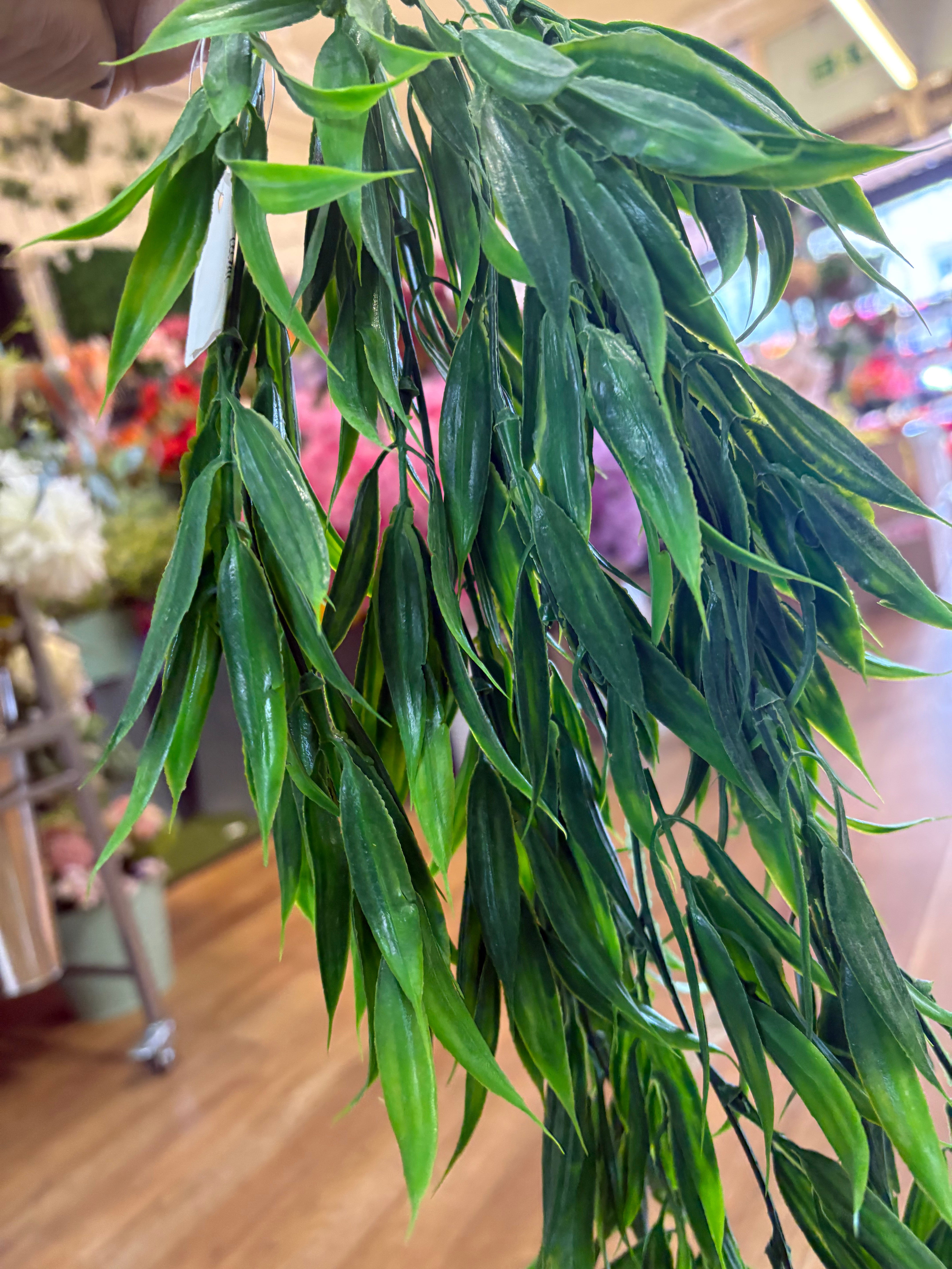 Hanging/trailing grass
