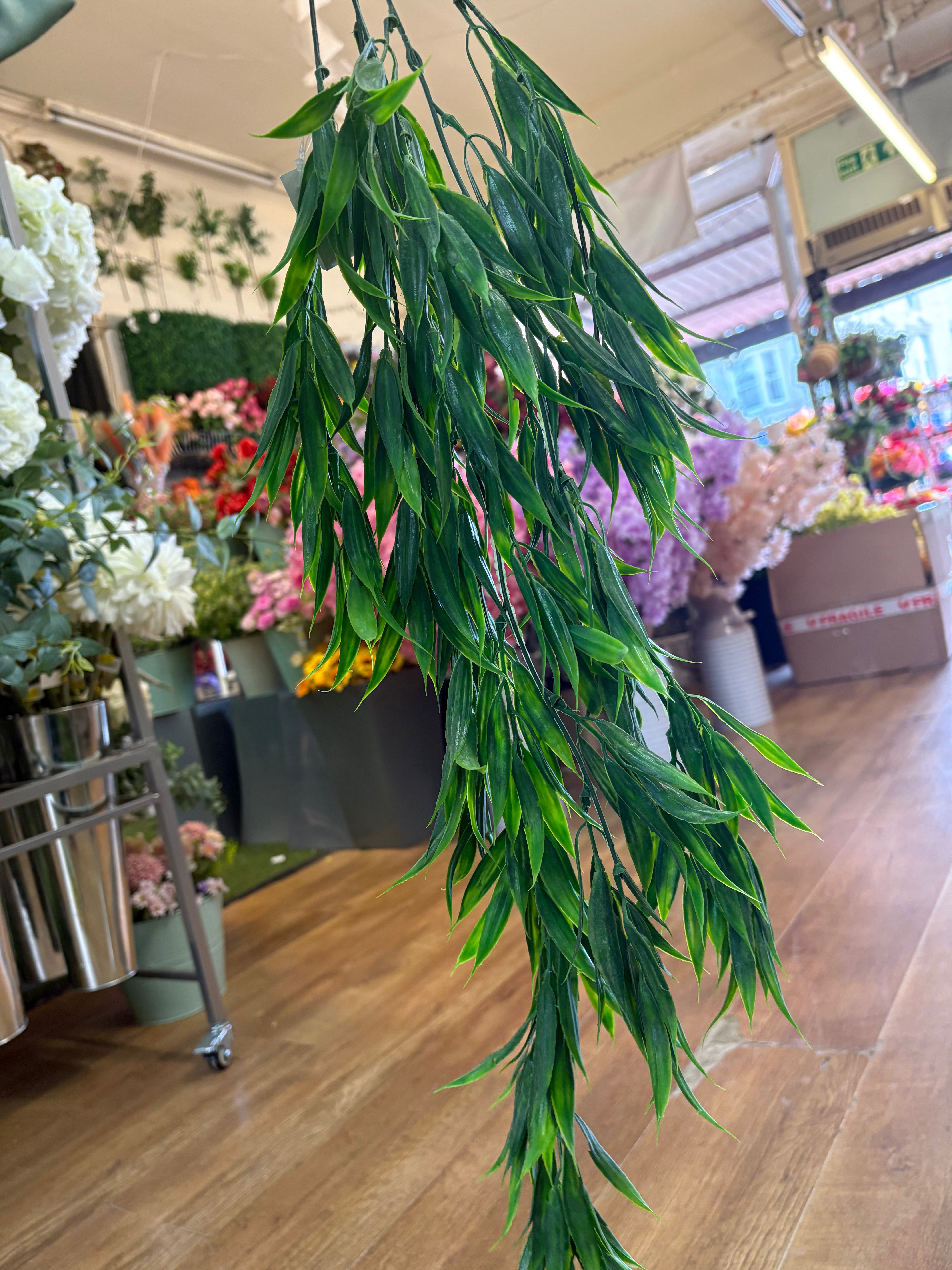 Hanging/trailing grass