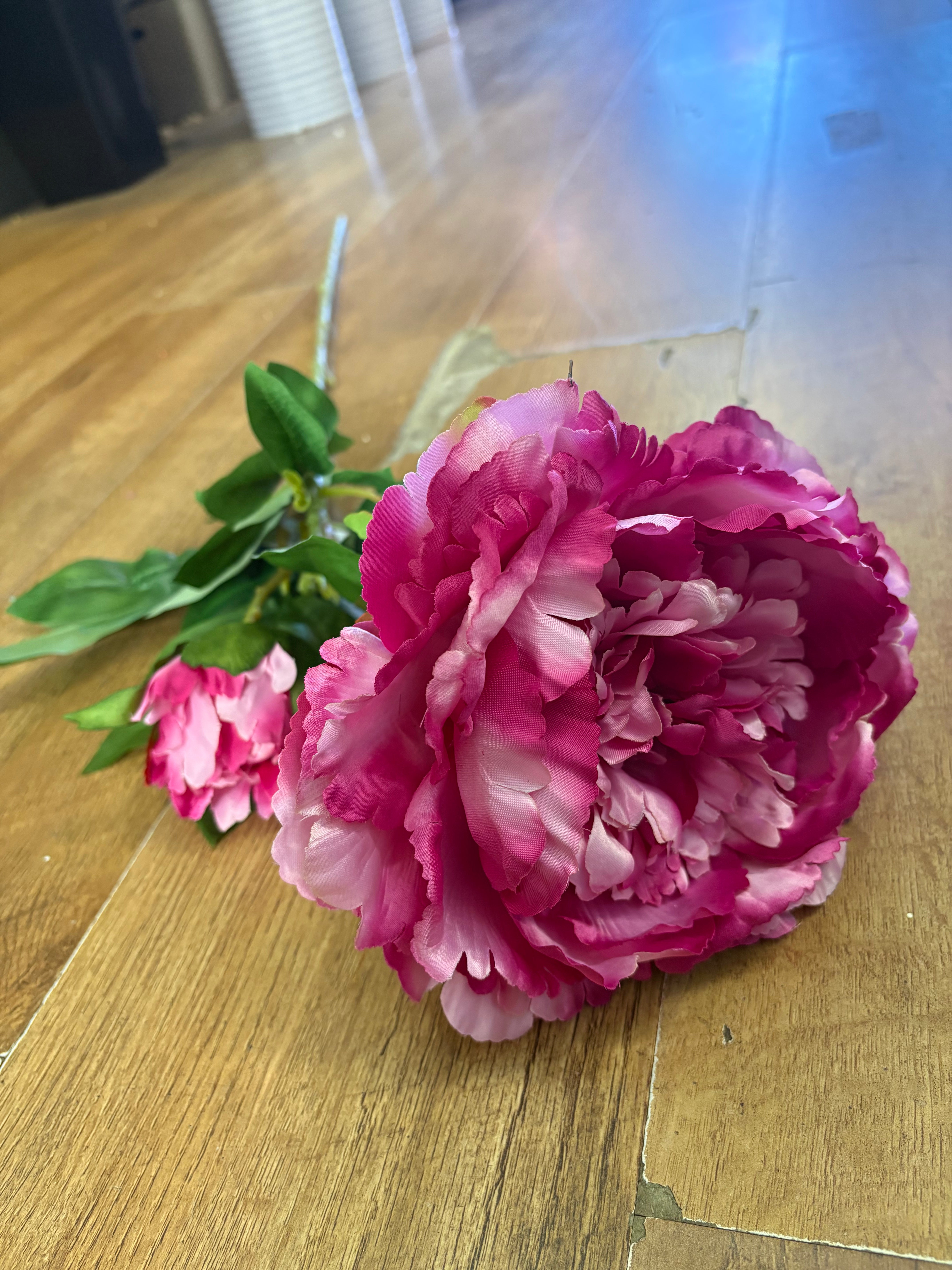 Tall extra large mixed pink peony and bud stem