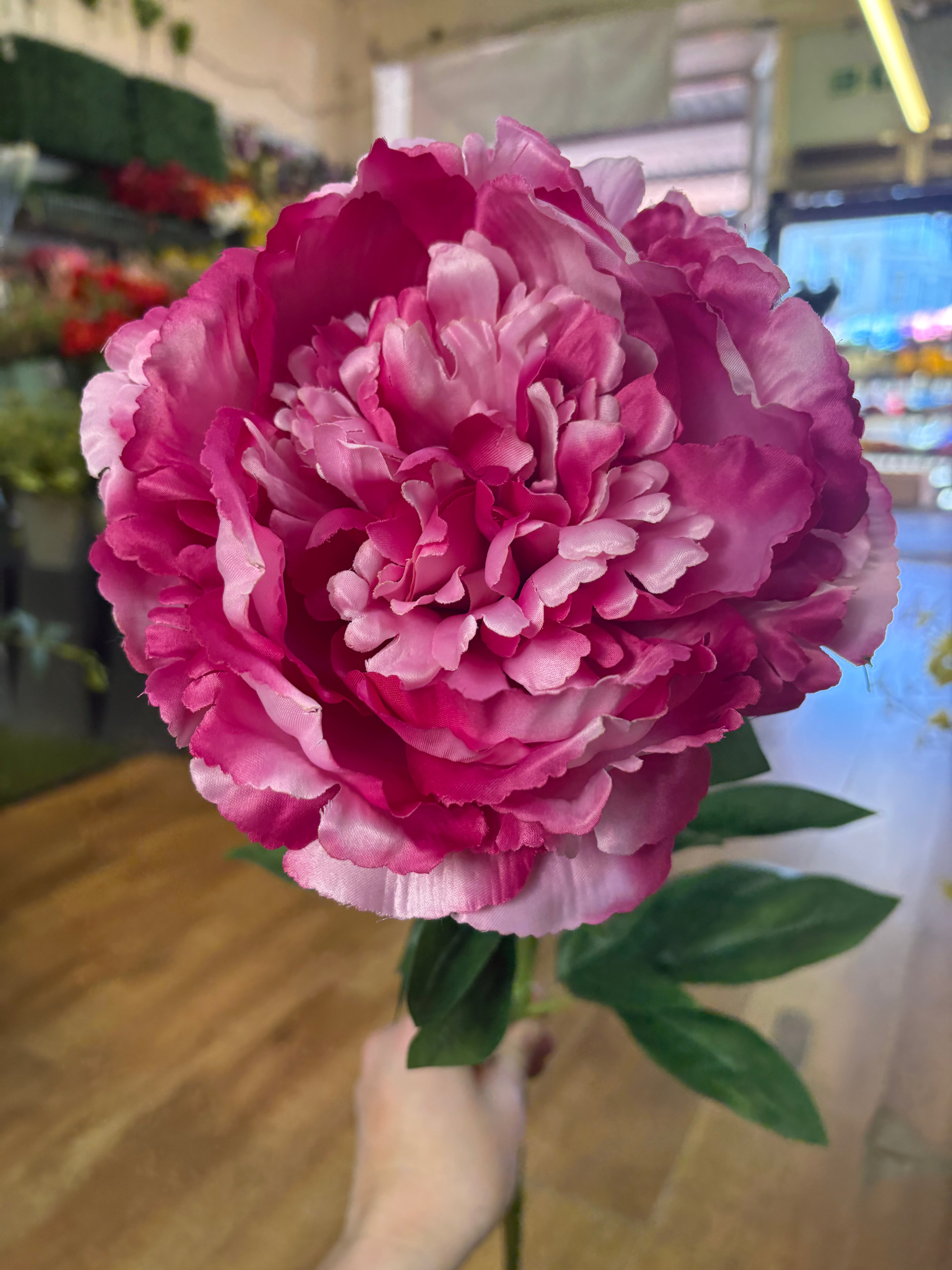 Tall extra large mixed pink peony and bud stem