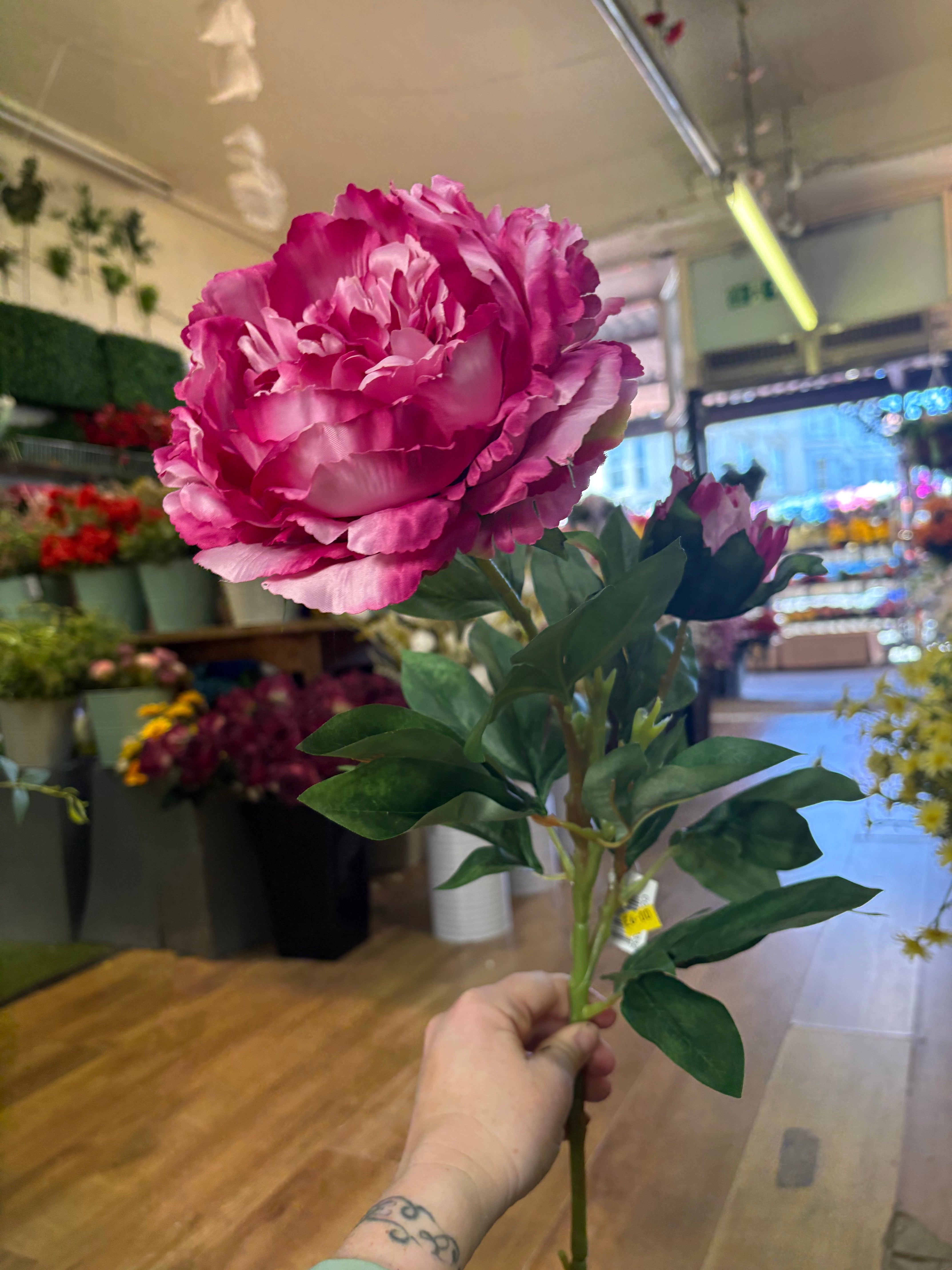 Tall extra large mixed pink peony and bud stem